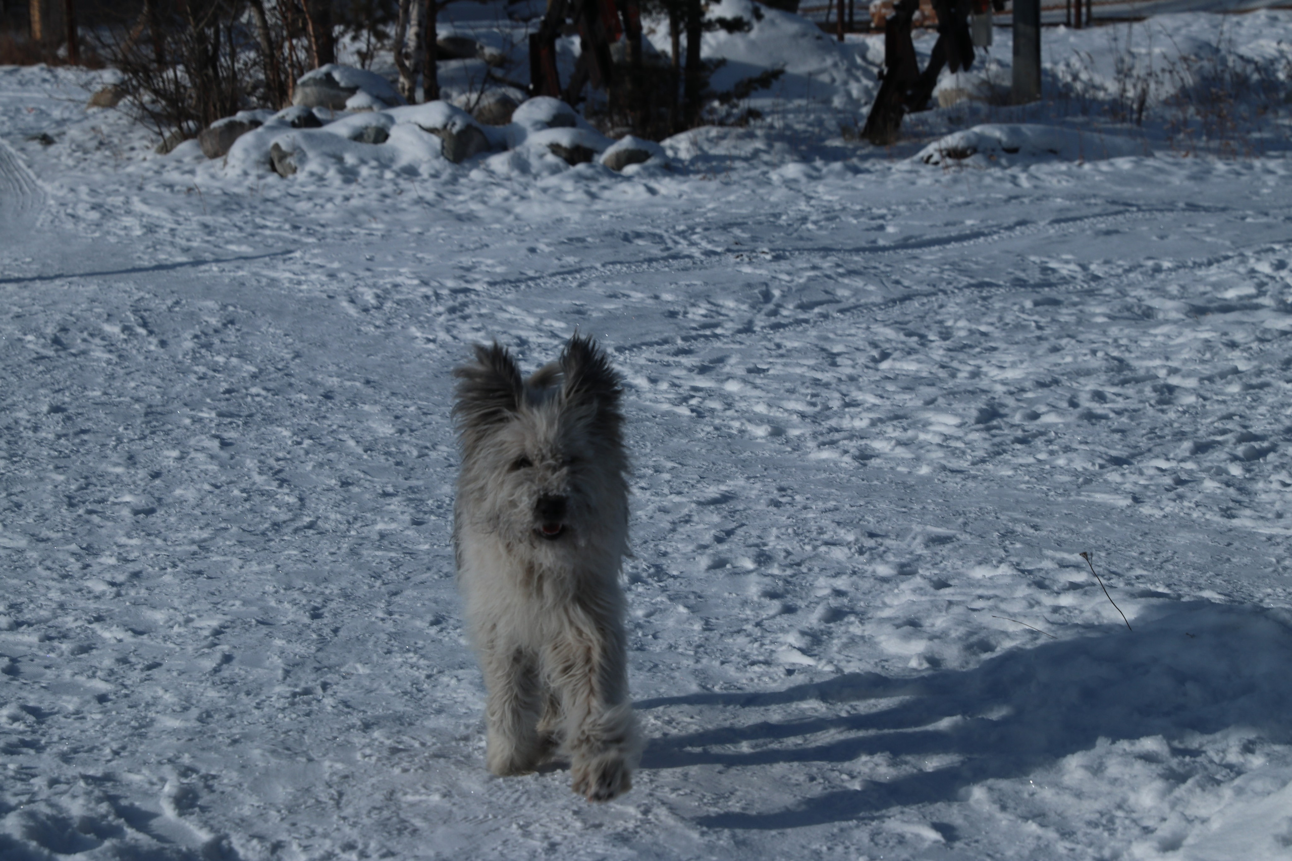 Аршан. Январь 2024. Путешественник-фотограф из Санкт-Петербурга Татьяна Свистулина