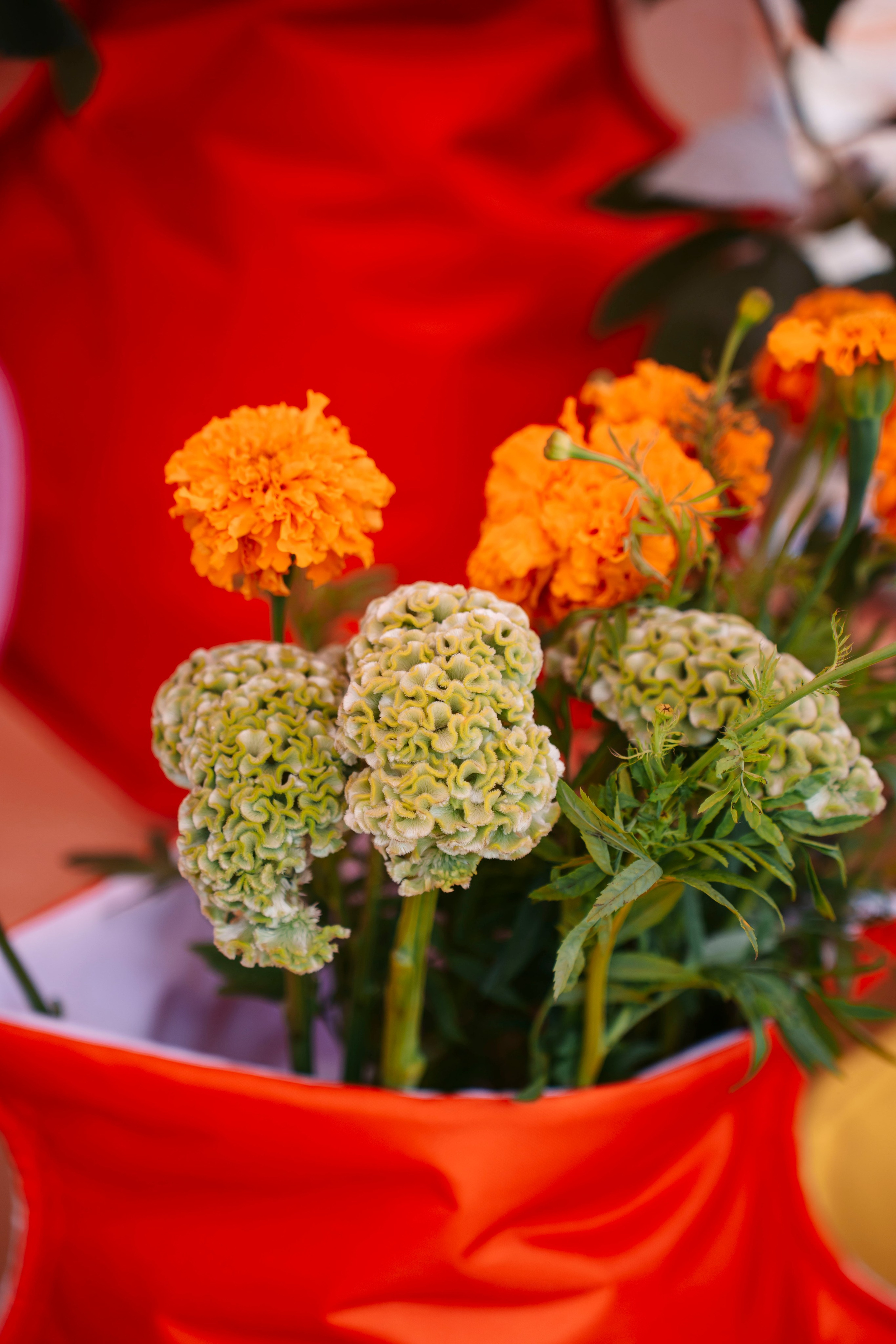 Маркет Маркета. Петербург / 2025. Саша Копылов, фотограф в Казани