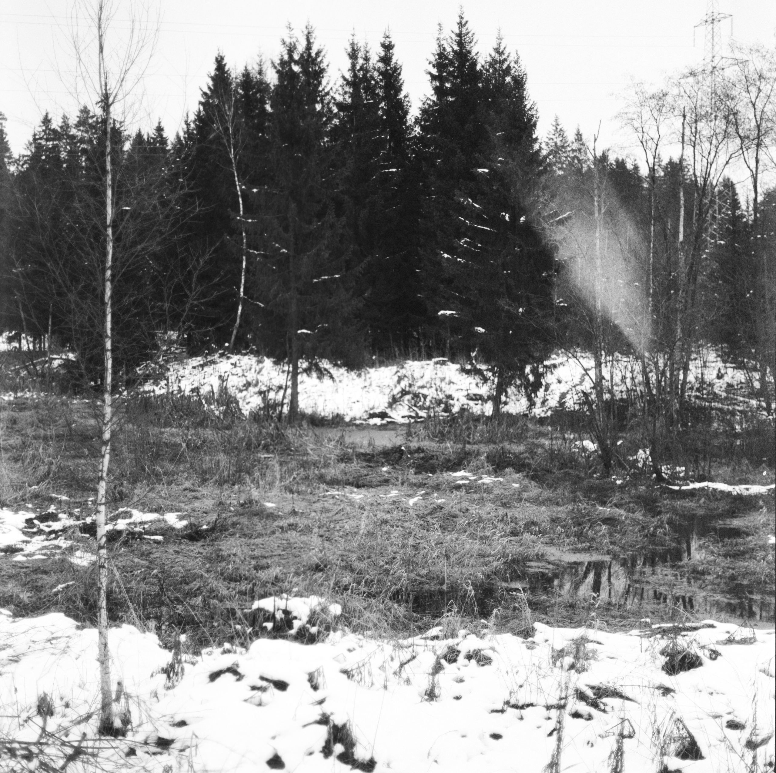 Kowa Super 66 — Kowa 85 mm f/2.8 / SFL Double-X Aerographic 400 (Kodak 2405)