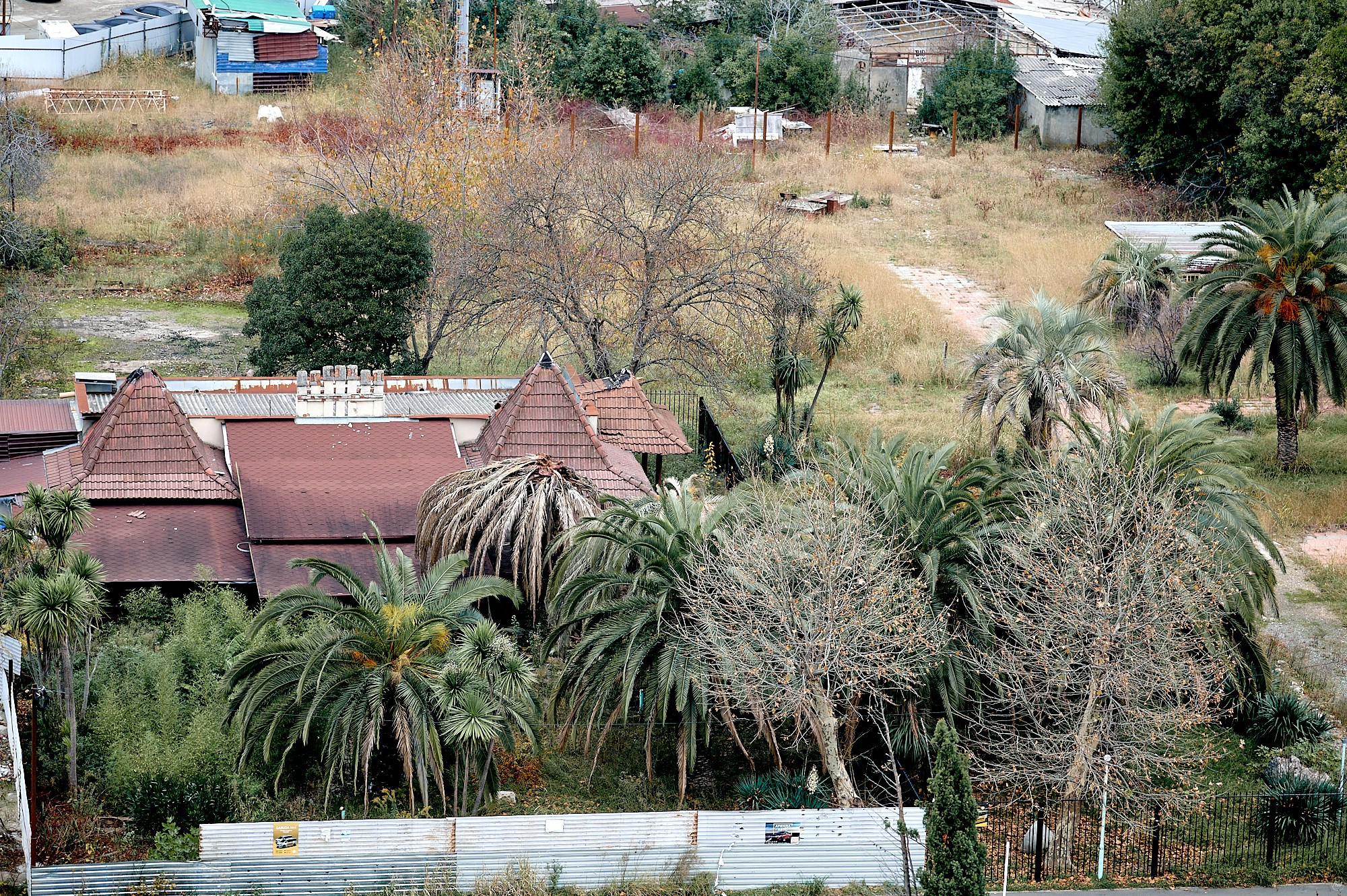 Гагра, Абхазия. Декабрь 2024. Фотографии отовсюду и обо всем