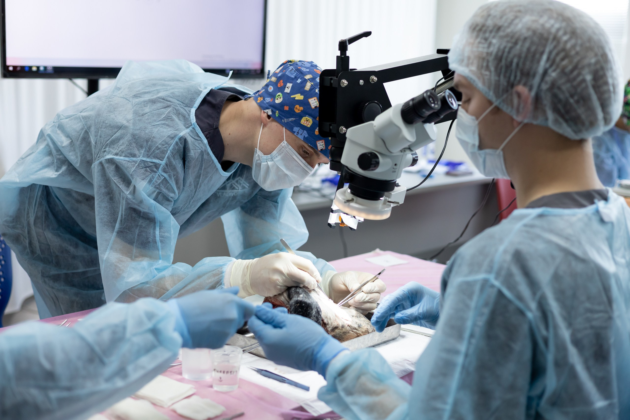 III Дальневосточная региональная олимпиада по детской хирургии. Главная