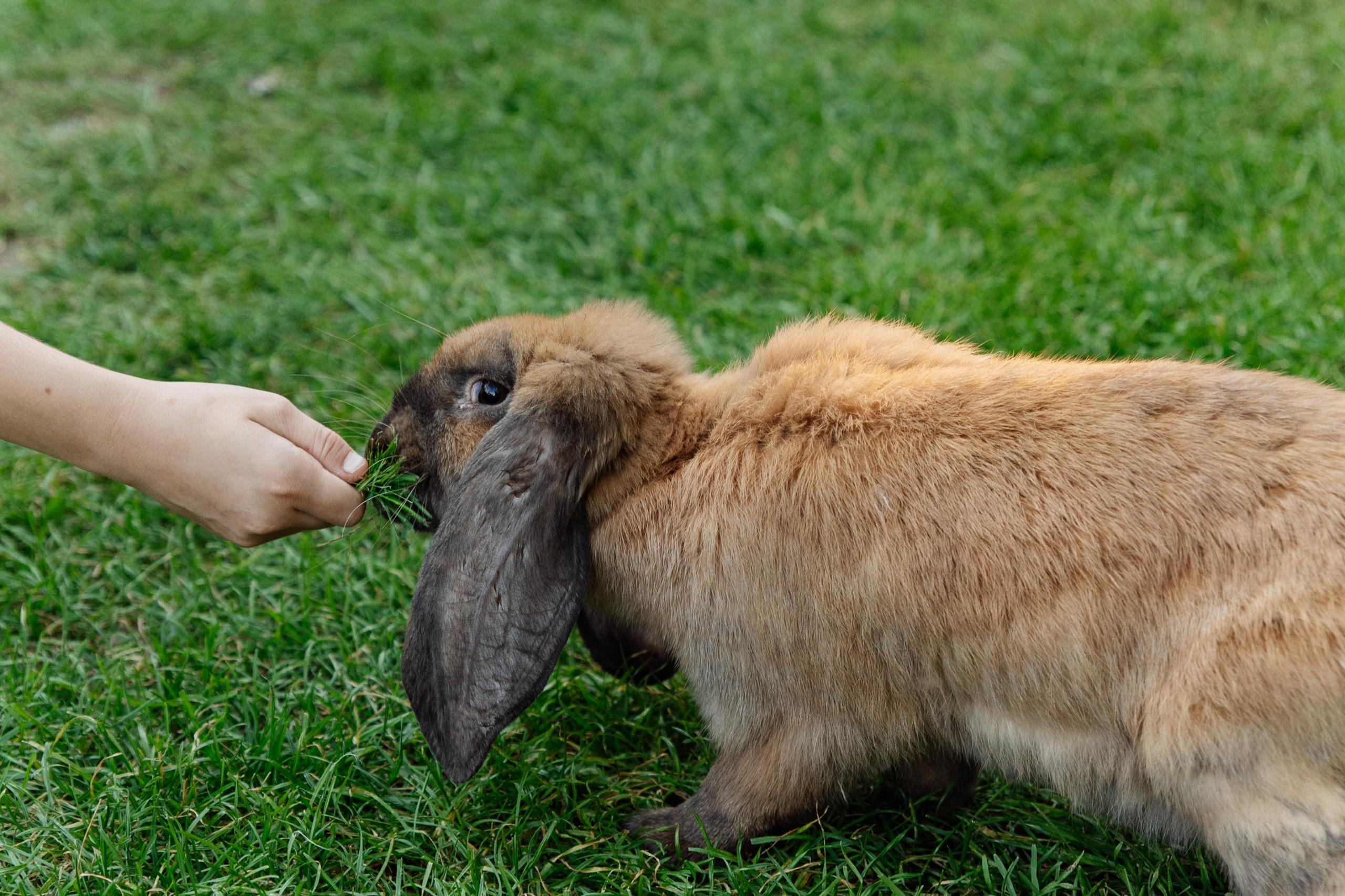 Корпоративный репортаж. Репортажный фотограф. Москва. Алина Ланская