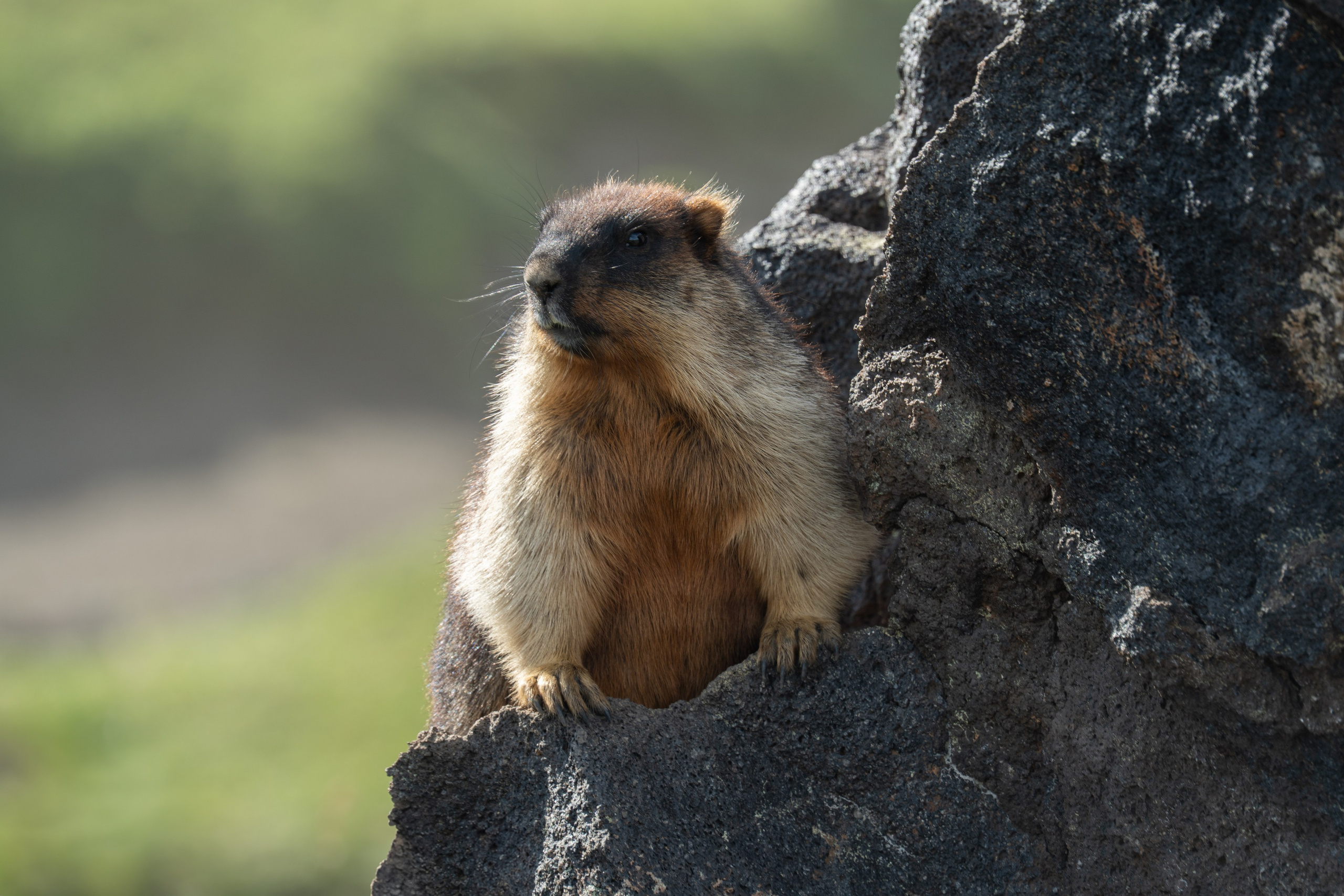 Камчатка. Gusarov Travel Photography