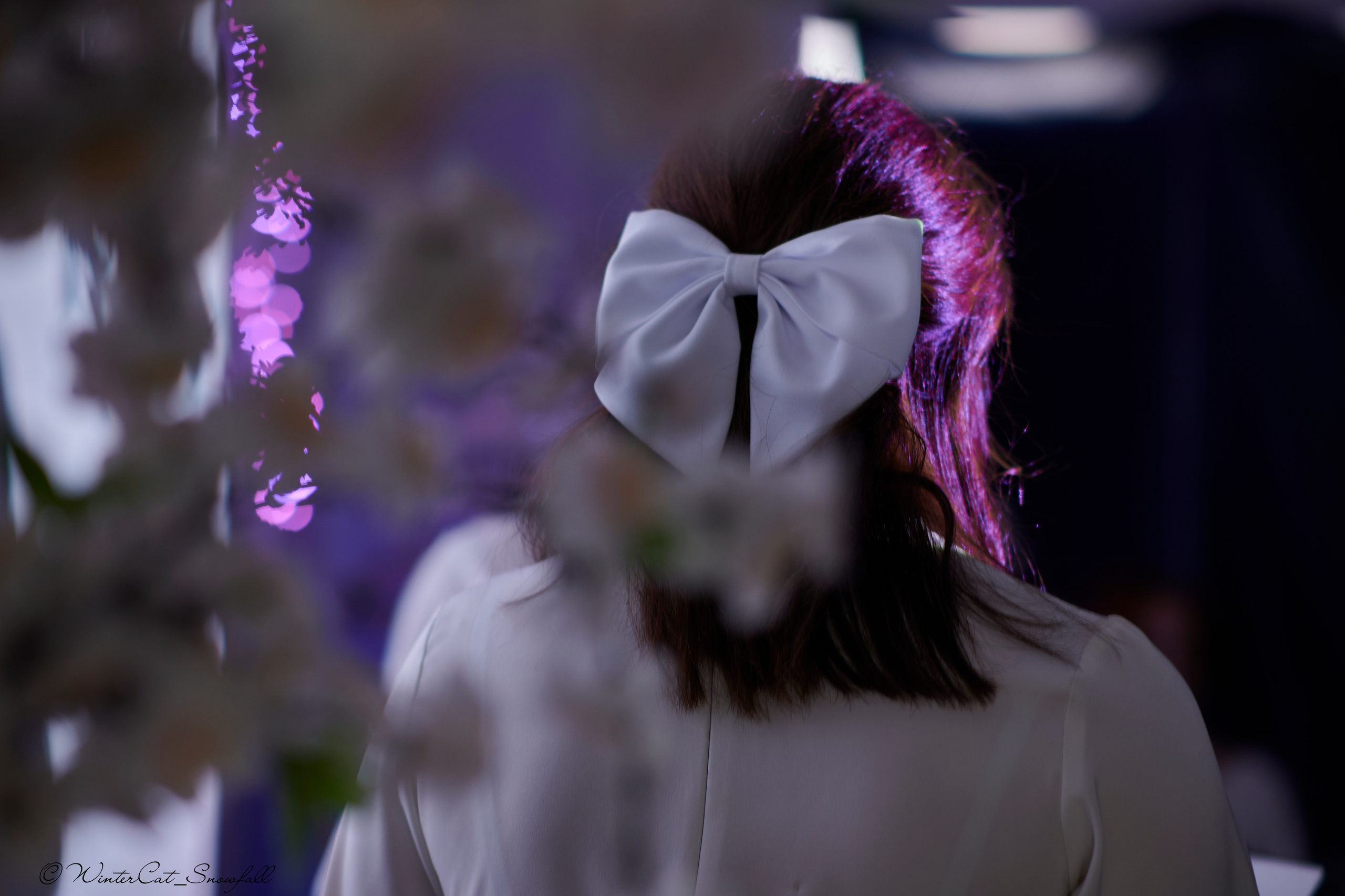 Крик (Чайка 11.05.24). Портретный и репортажный фотограф в Магадане Андрей Нефедов WinterCatPhoto