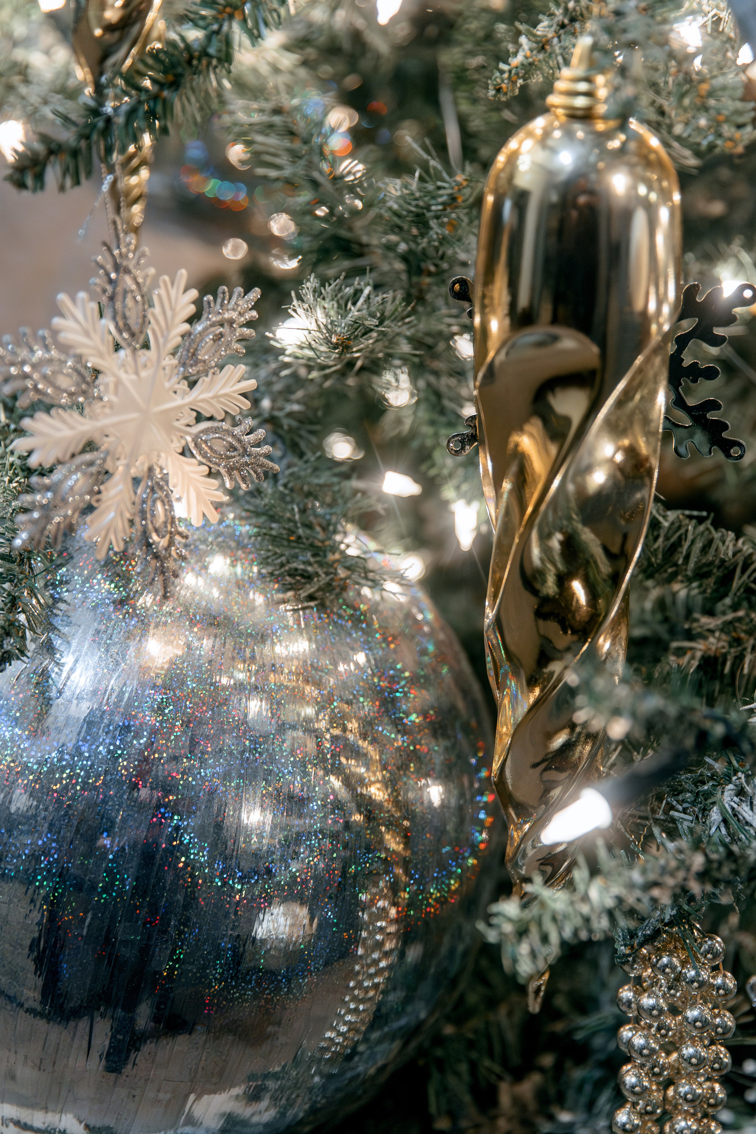 COLLA GEN. Фотограф в Красноярске