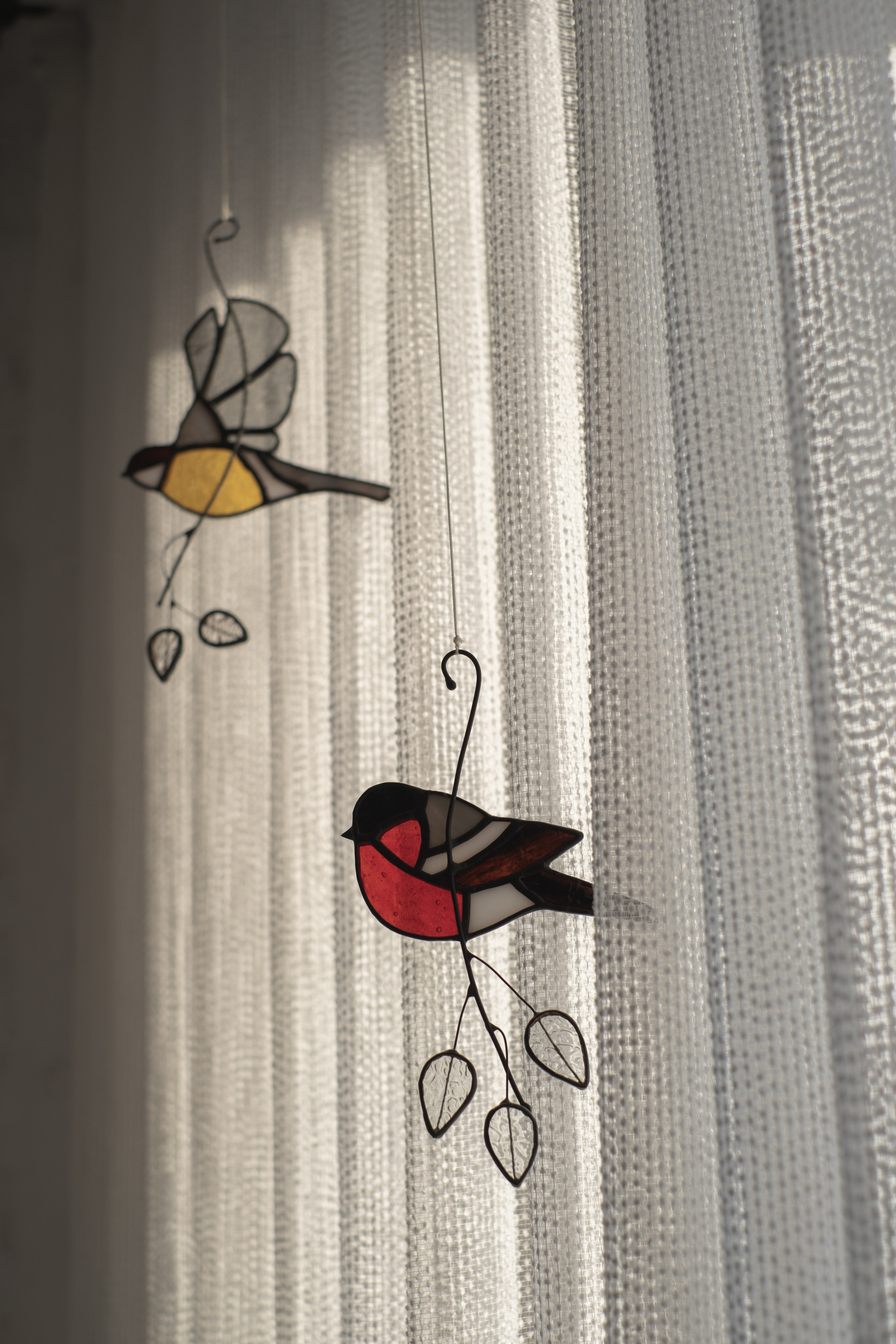 Маленькое и теплое счастье. Фотограф в Барнауле и на Алтае Маша Савова