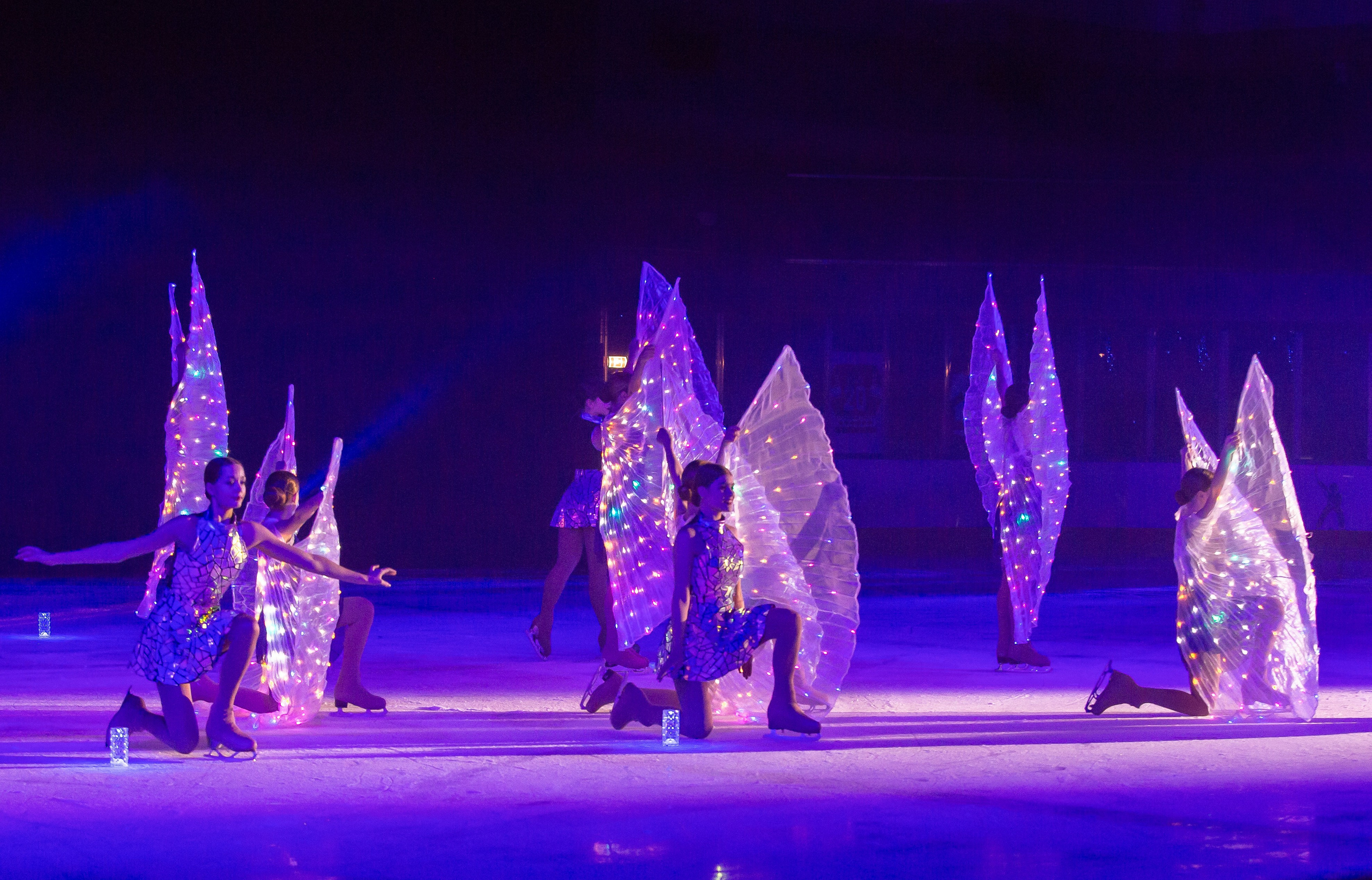 Ледовое шоу «Конёк-Горбунок». Репортажный фотограф в Москве