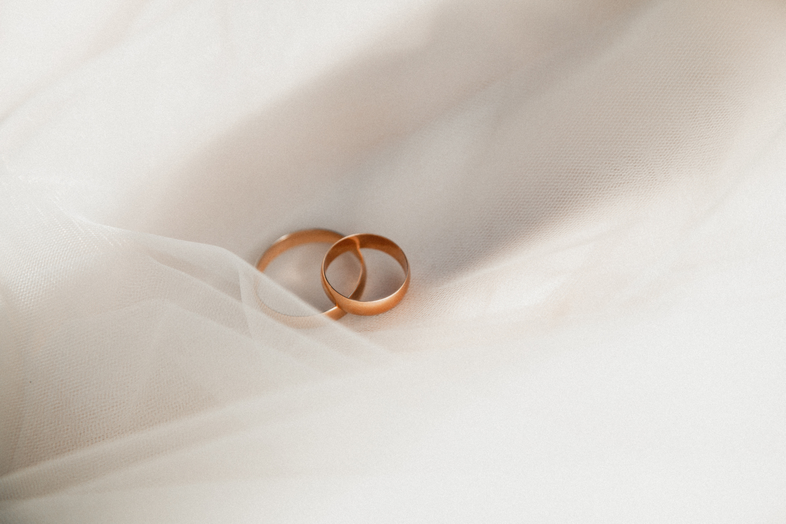 Давай навсегда?. Фотограф Валуйки, Белгородская область. Коробова Юля