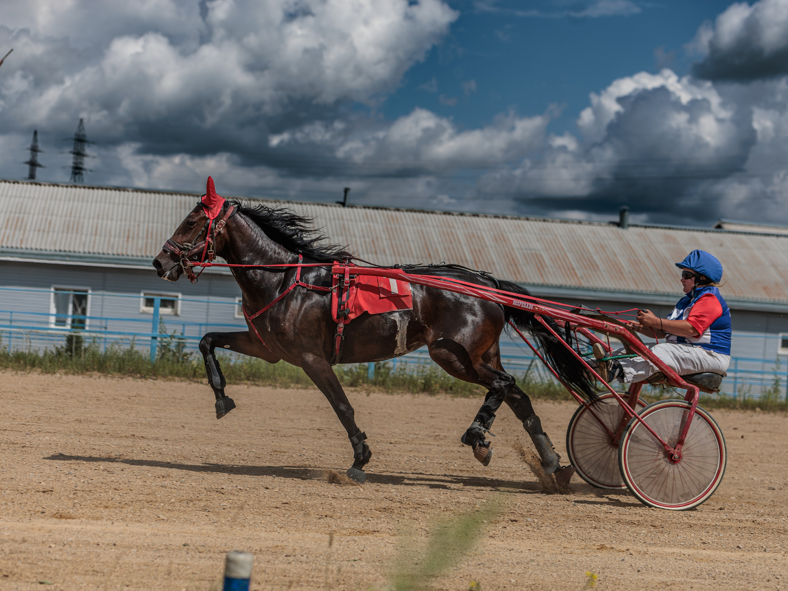 2025. Конный фотограф в Красноярске — Любовь Похабова