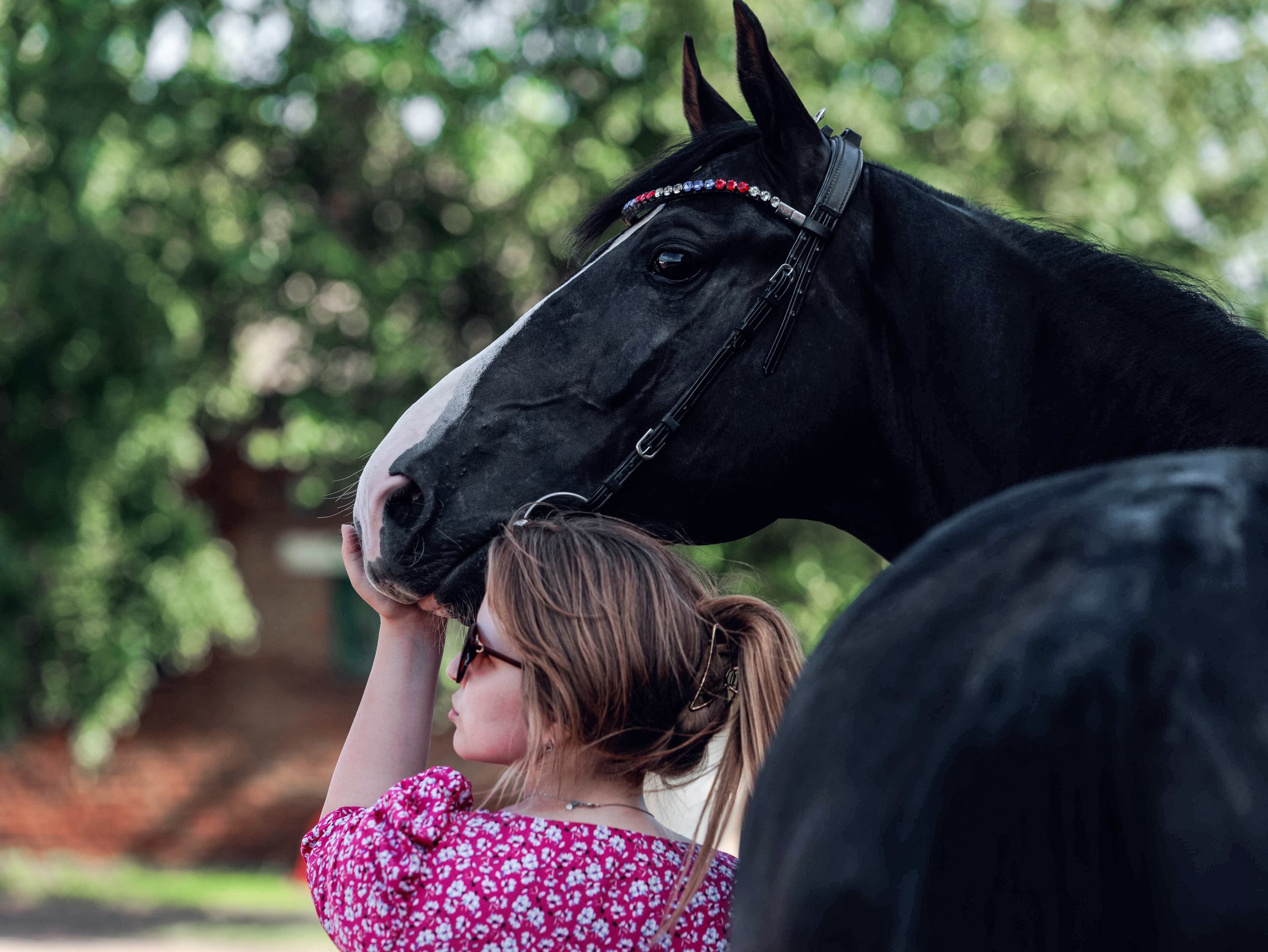 2025. Конный фотограф в Красноярске — Любовь Похабова