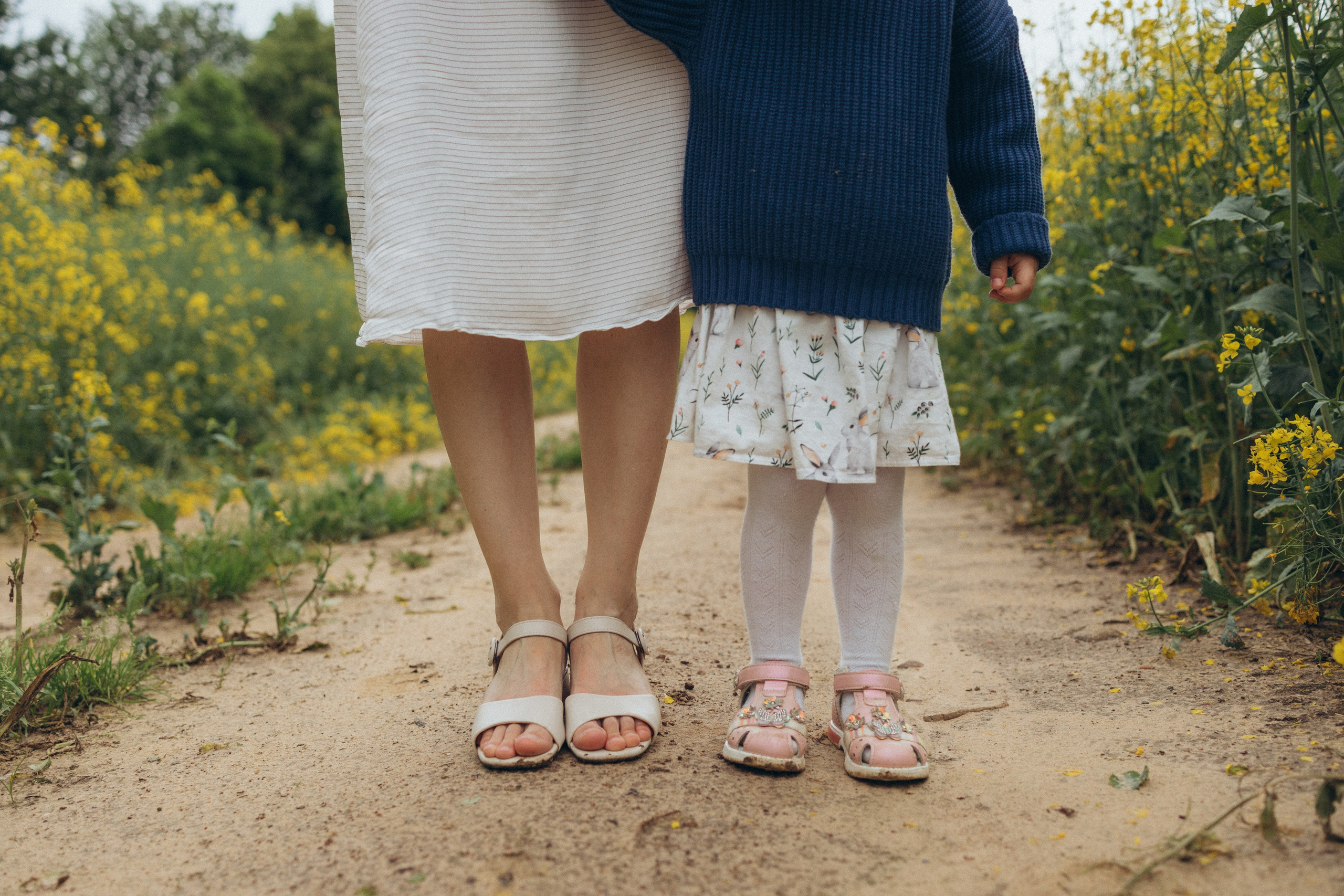 После дождя. Фотограф Елена Рябцева