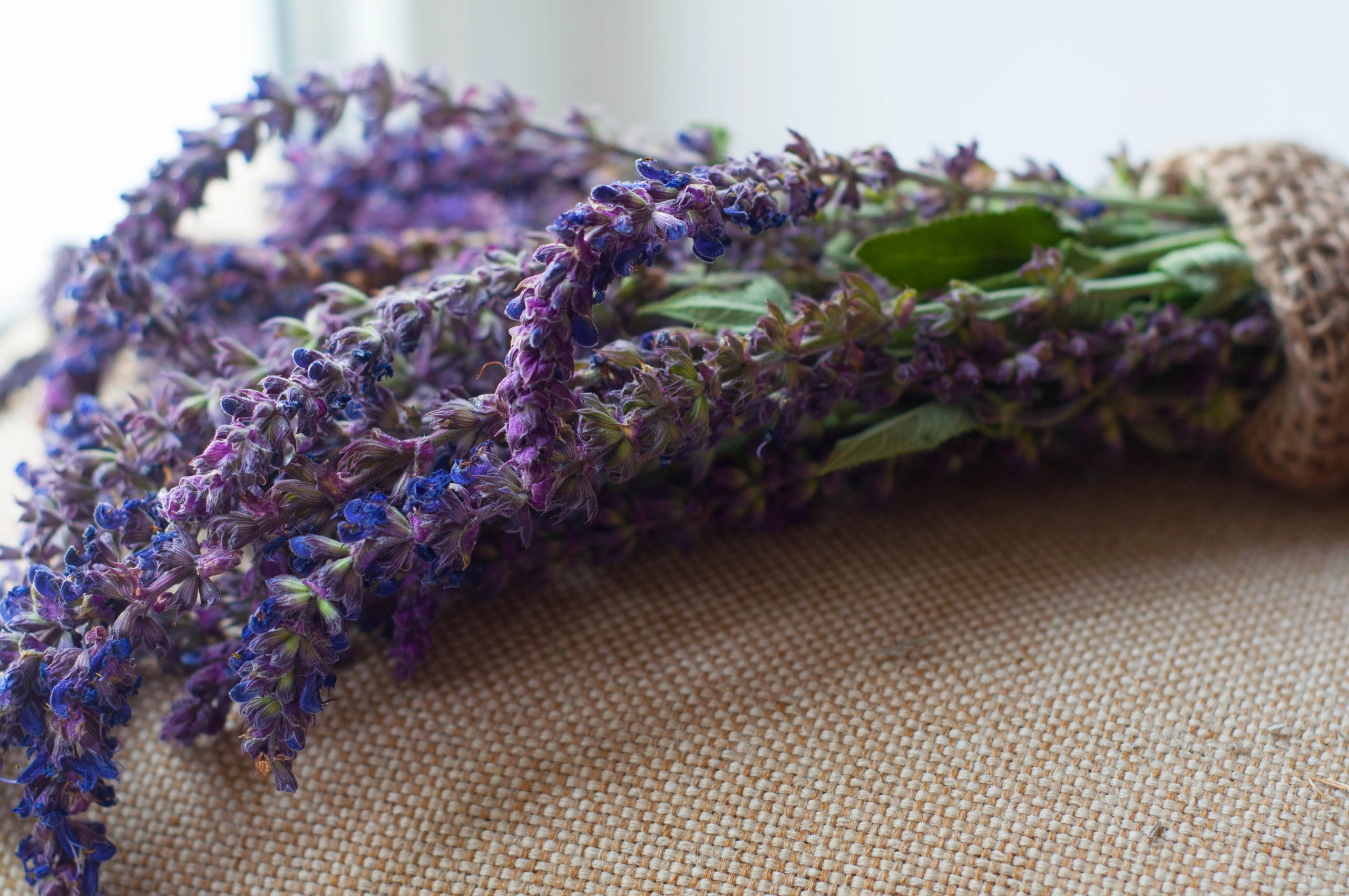 Предметная. Фотограф в Санкт-Петербурге