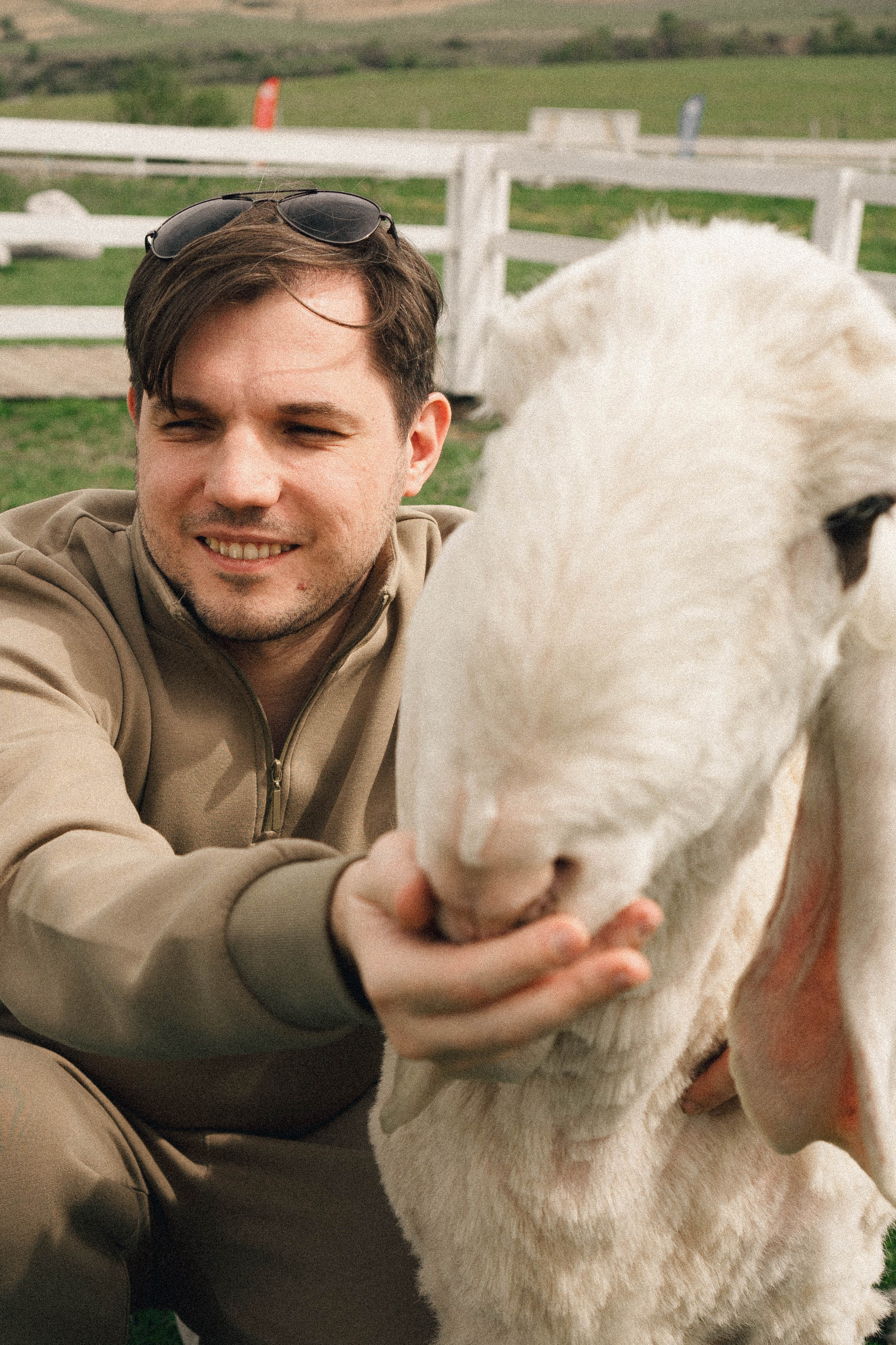 Ферма Альпак. Профессиональный фотограф, Санкт-Петербург — Виктория Богомолова