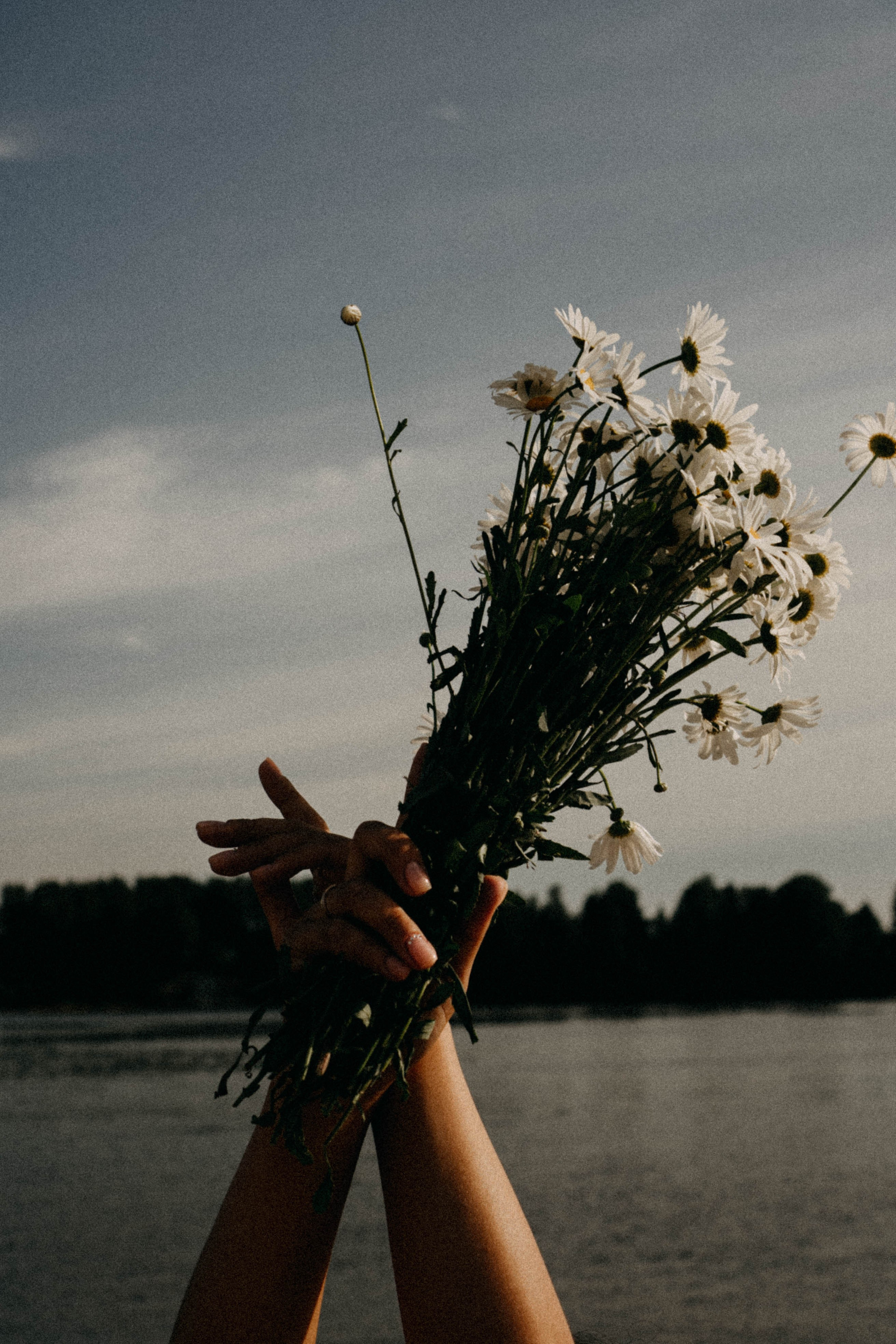 Летняя прогулка. Профессиональный фотограф, Санкт-Петербург — Виктория Богомолова