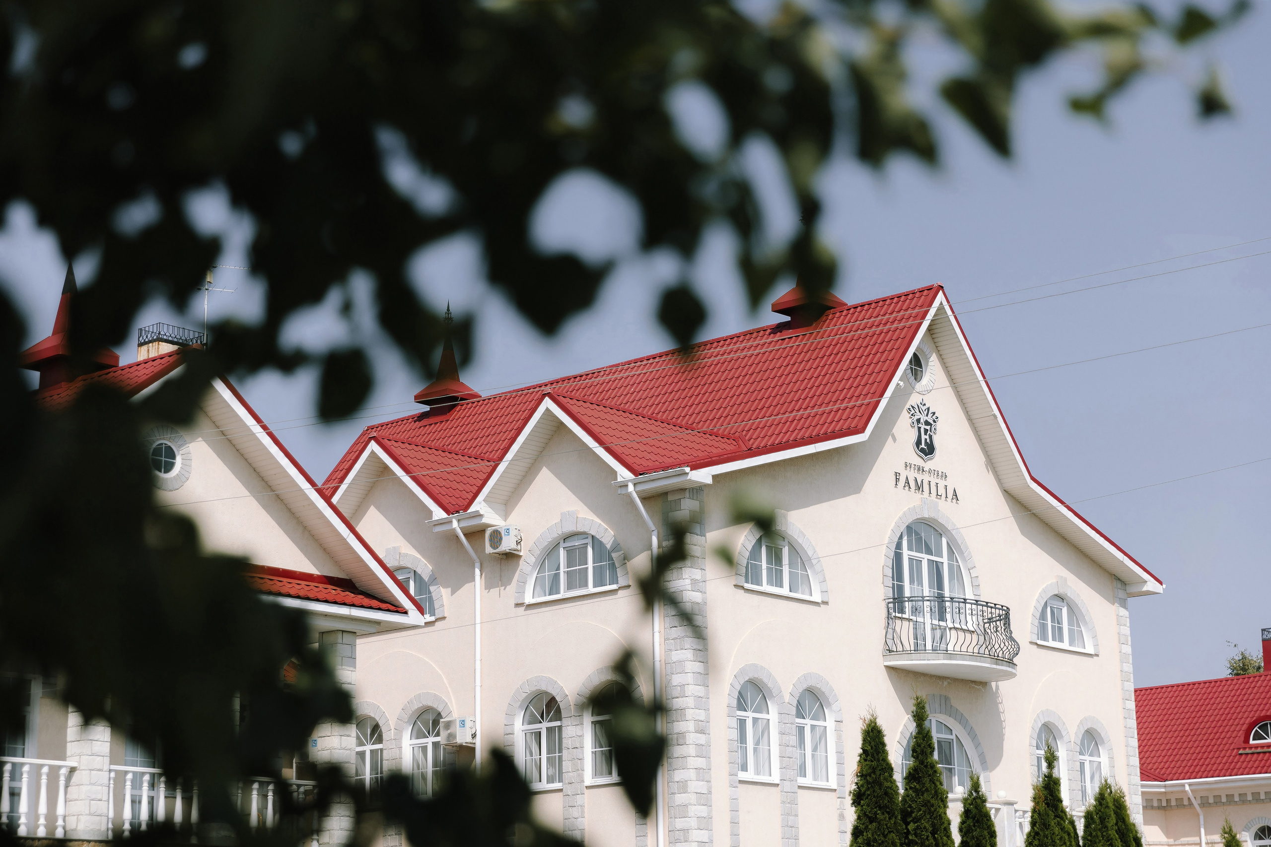 Бабочки. Фотограф Елена Краснопевцева