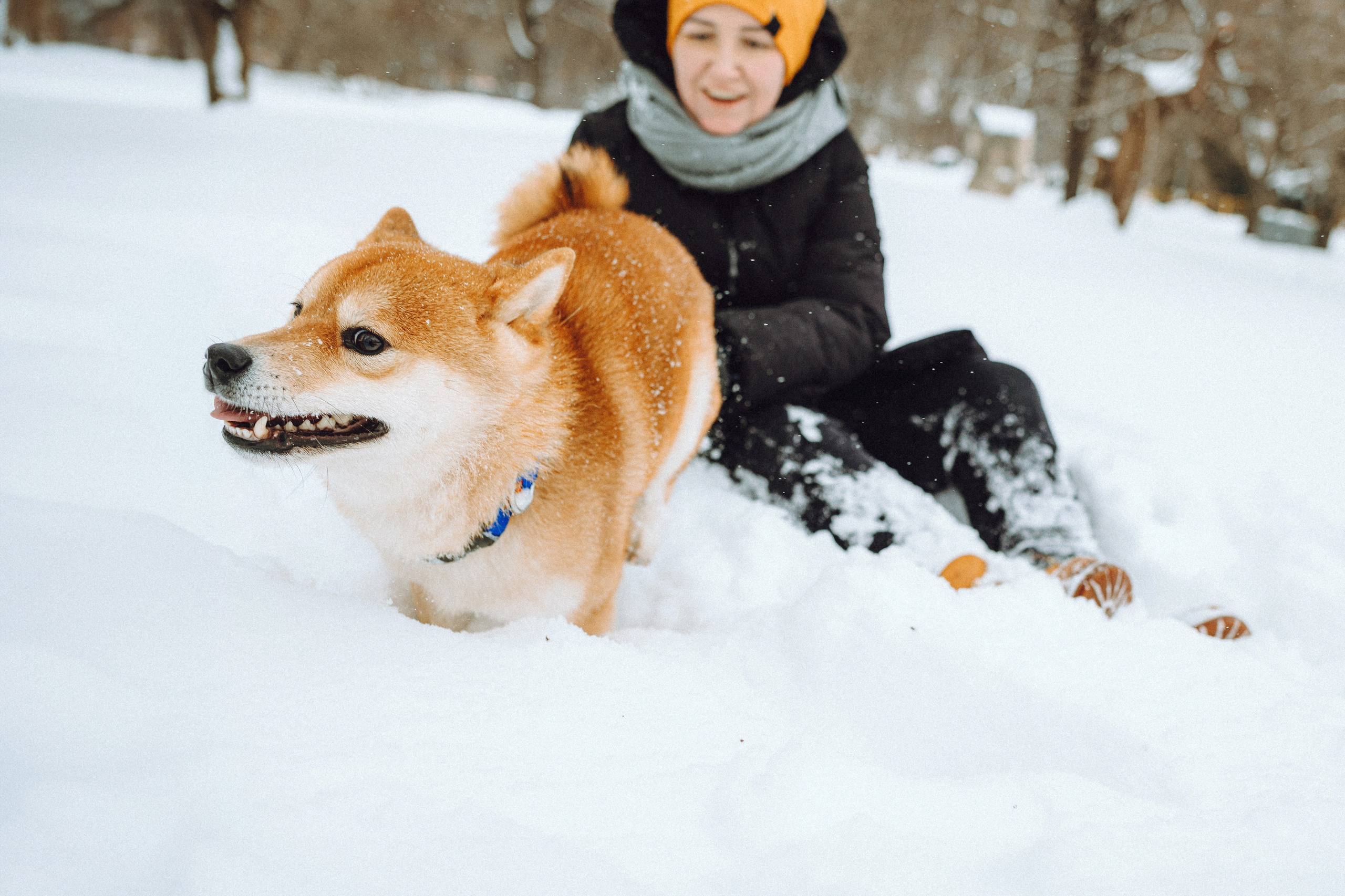 Настя и Ронин