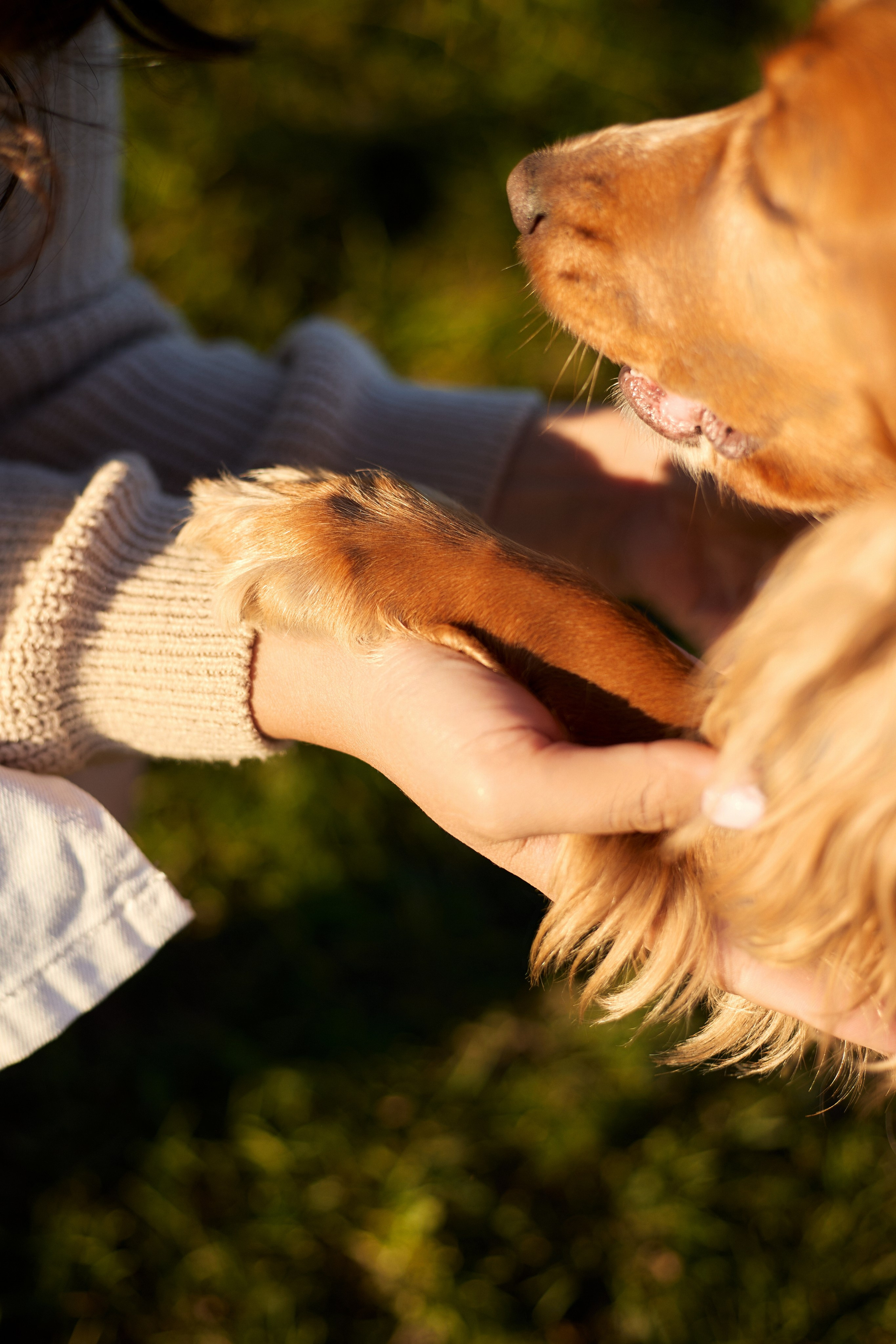 Даша. Свадебный и семейный фотограф