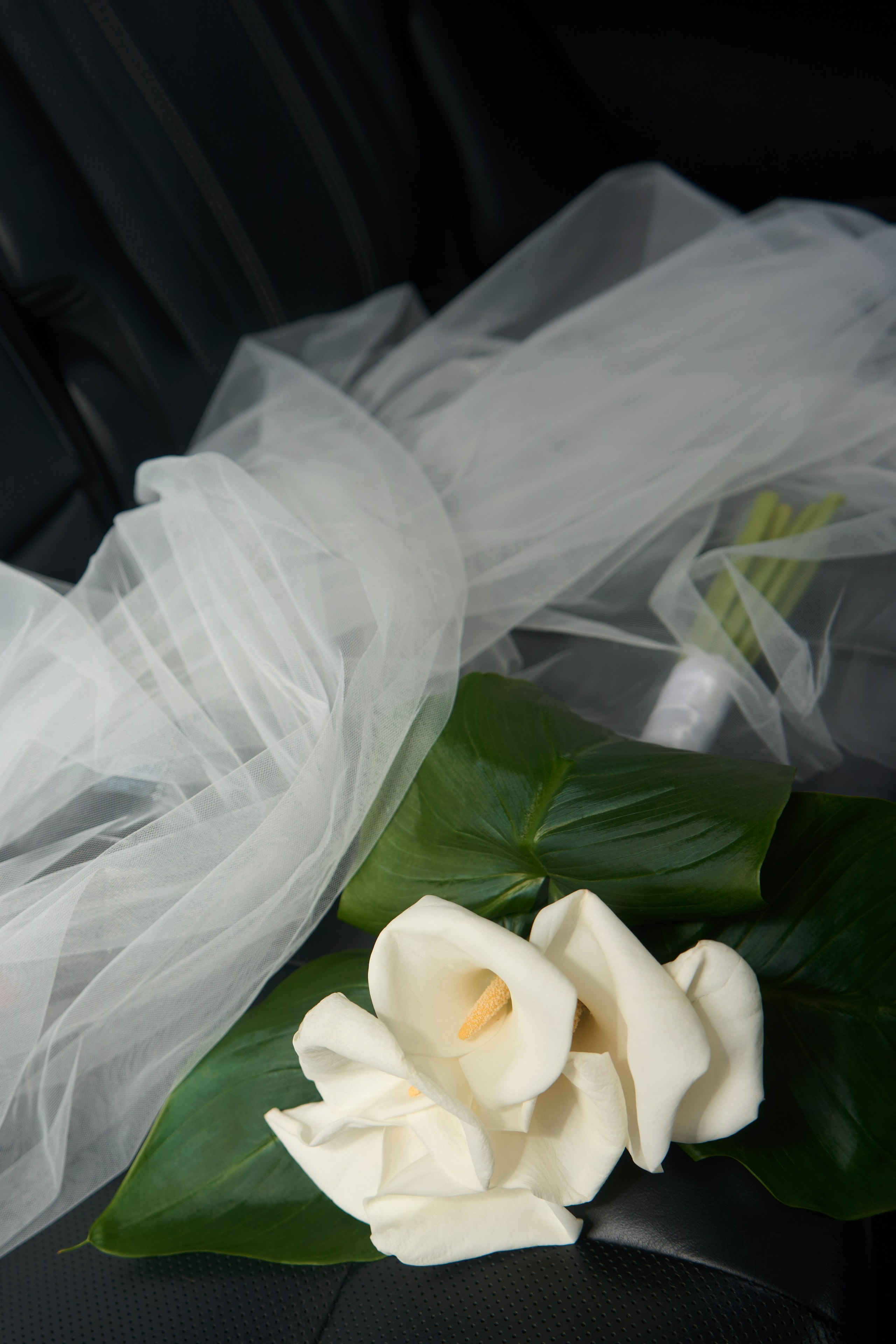 Михаил и Мария. Фотограф из Владивостока Юлия Черепова