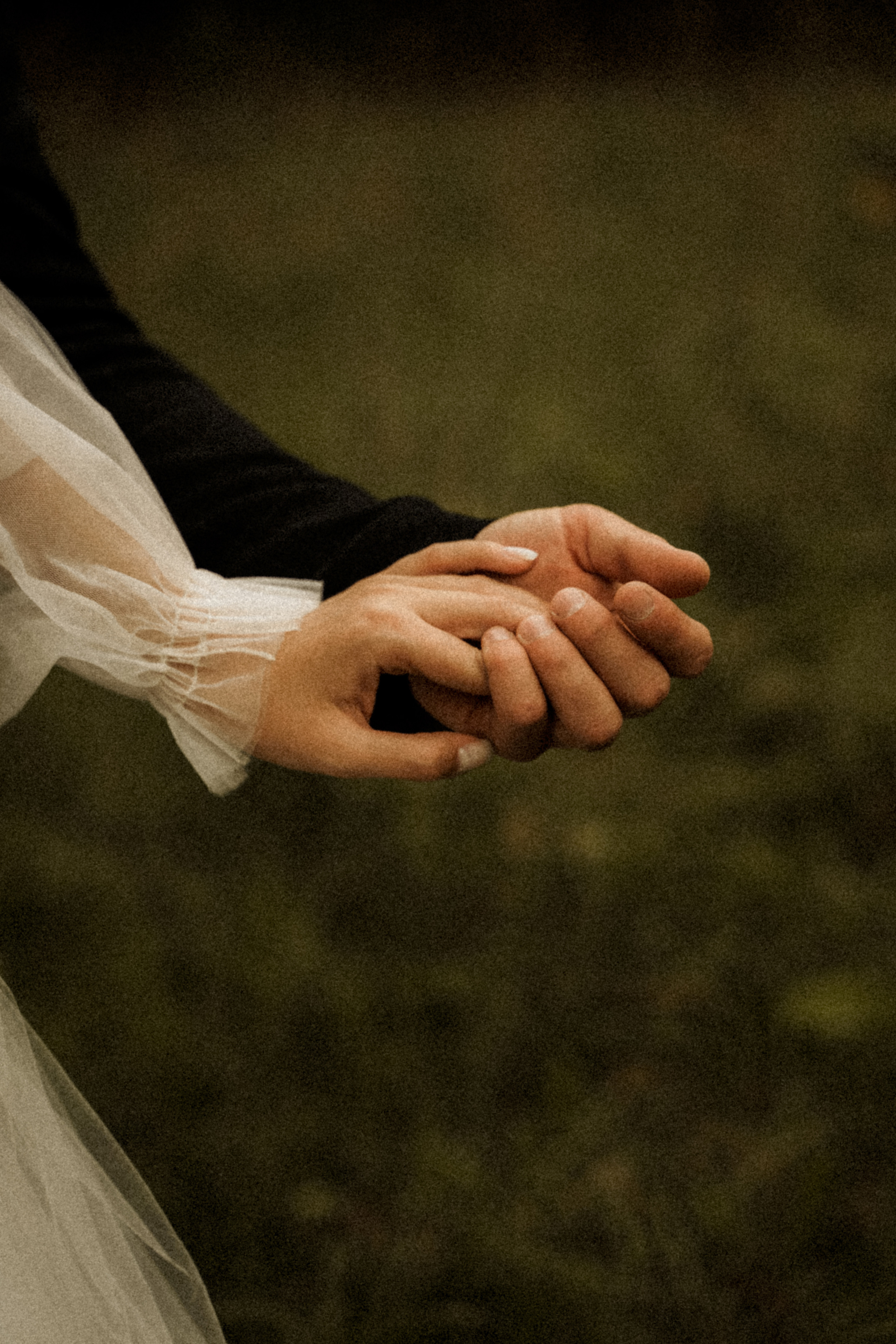 Свадьбы. Семейный и свадебный фотограф в Новокузнецке