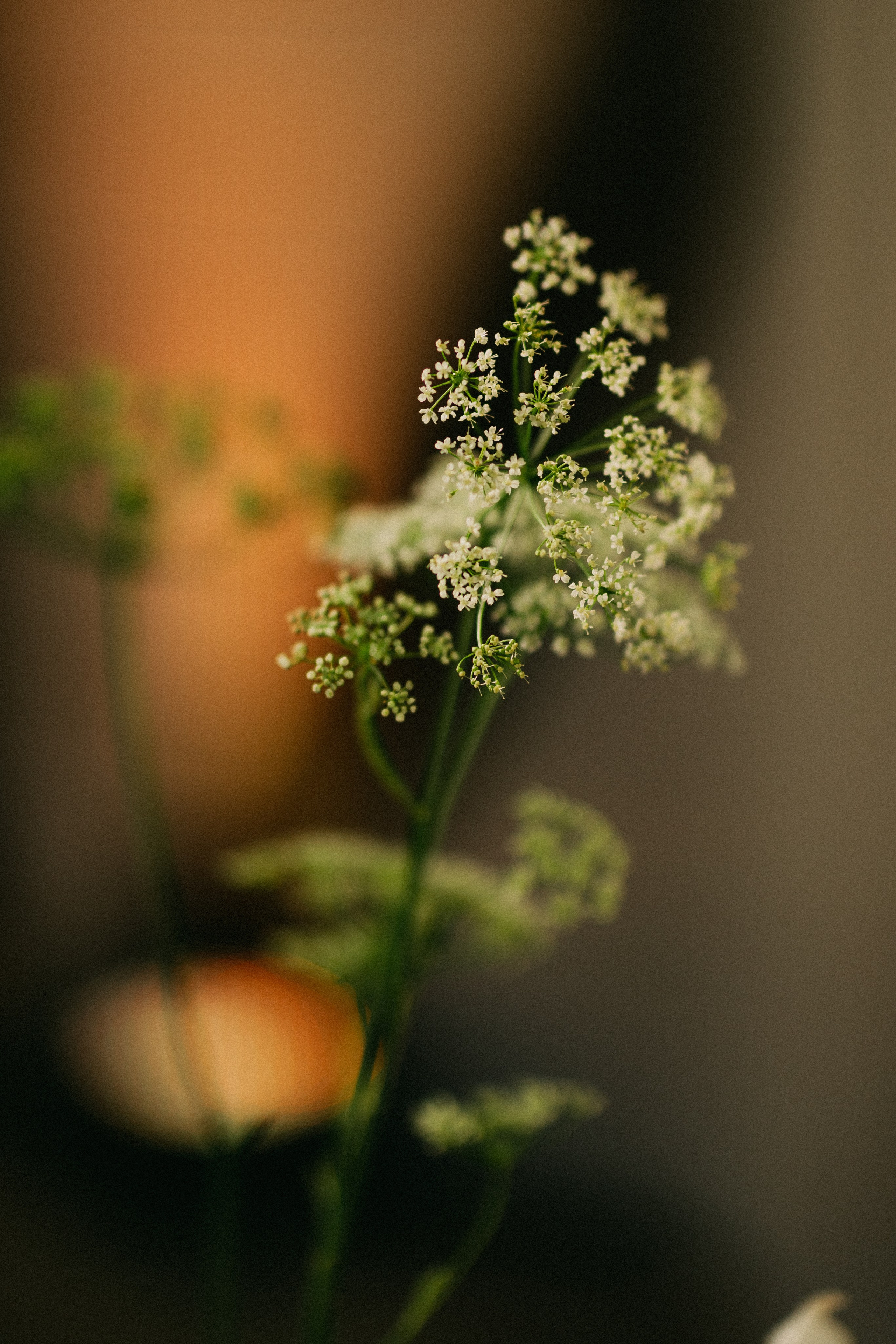 Masha x Sasha. Daria Chigintseva Photographer