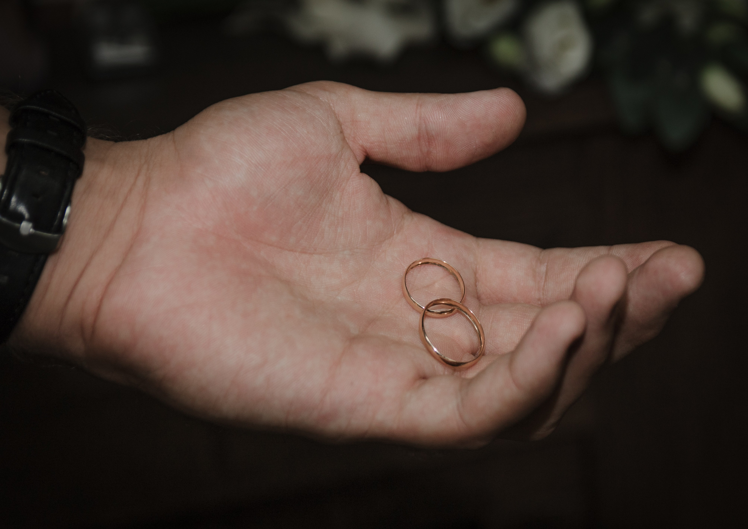 Фотографы. Организатор праздников. Ведущая Марина Гребенникова