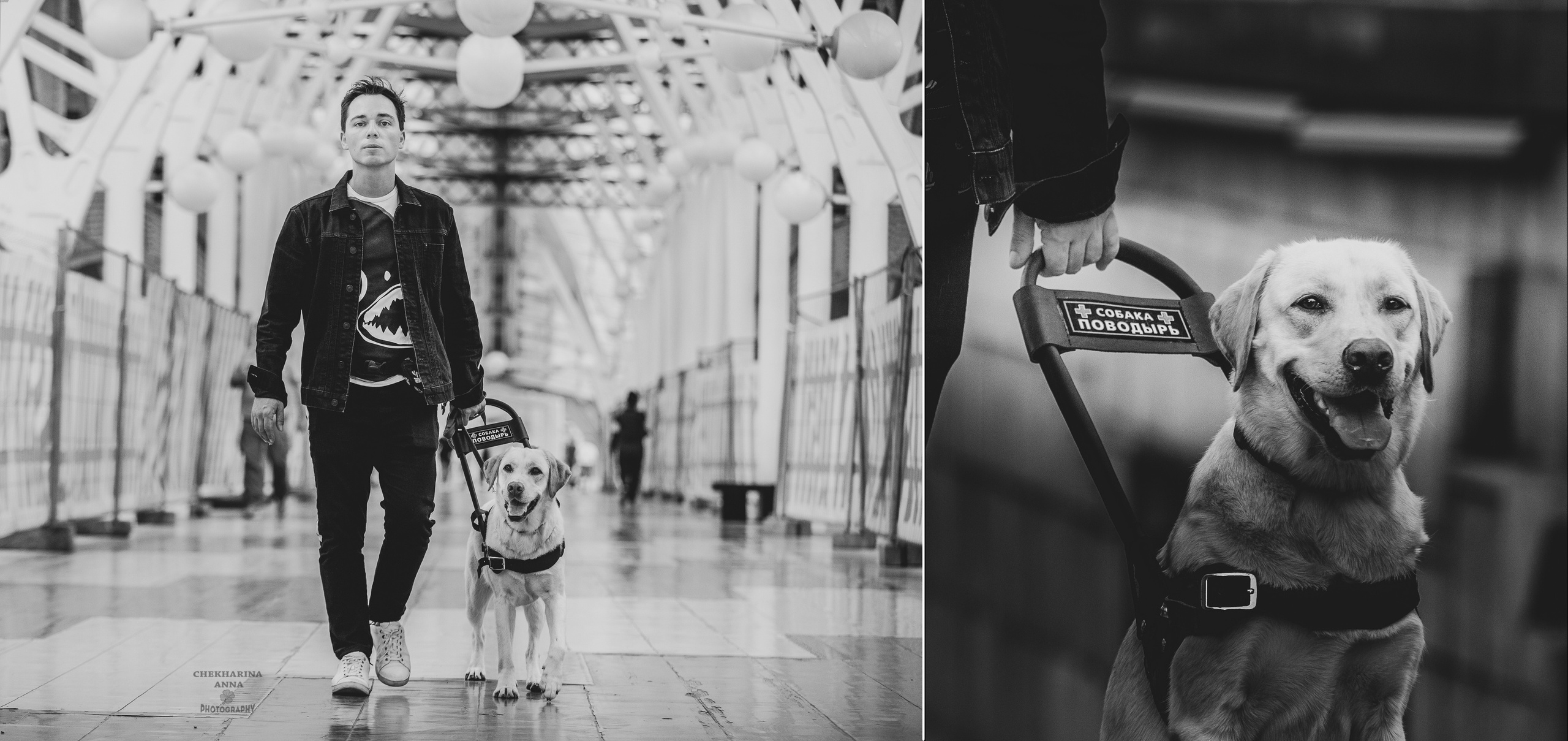 Анималистика. Профессиональный фотограф Чехарина Анна / pro photographer Chekharina