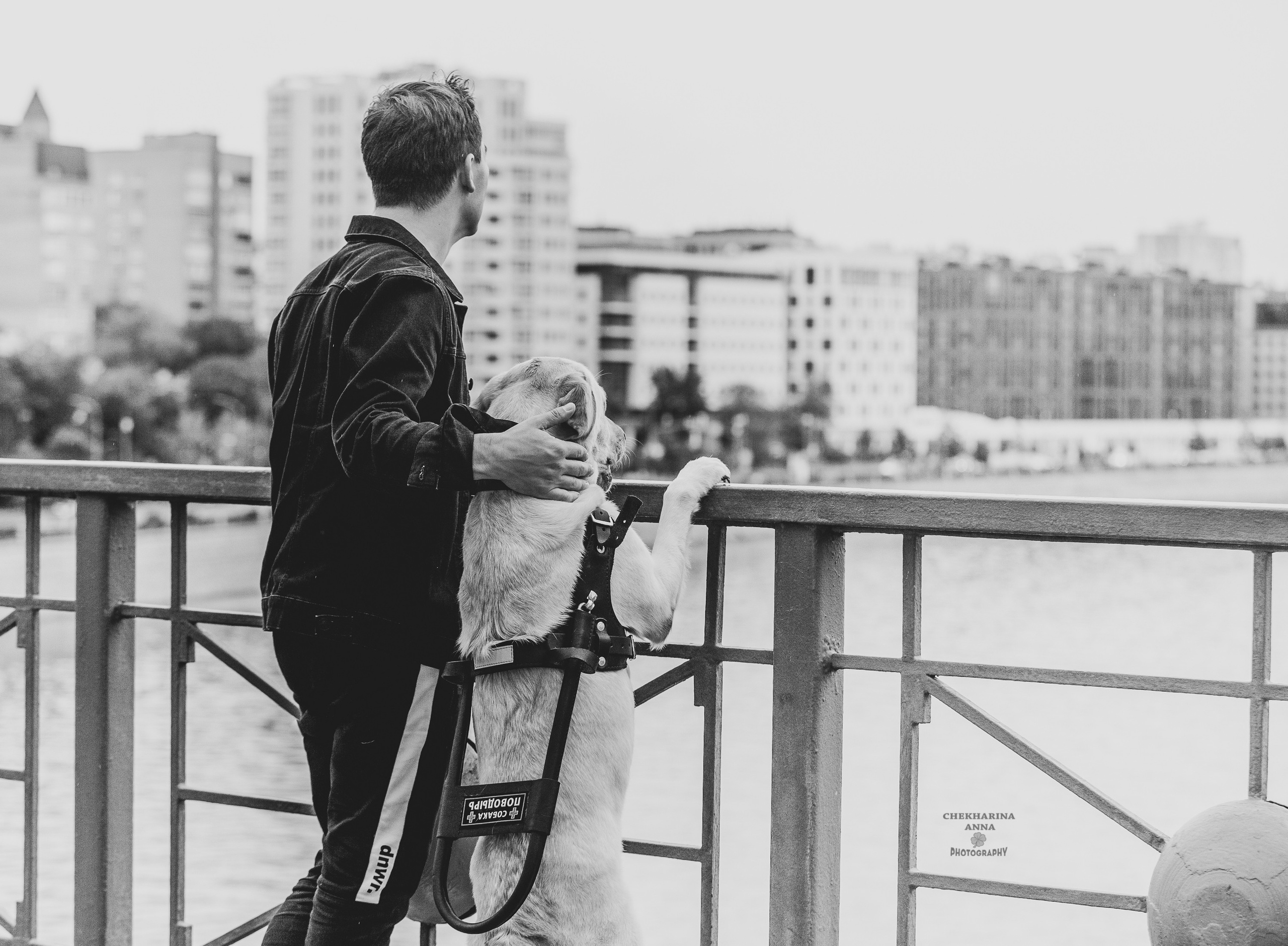 Анималистика. Профессиональный фотограф Чехарина Анна / pro photographer Chekharina