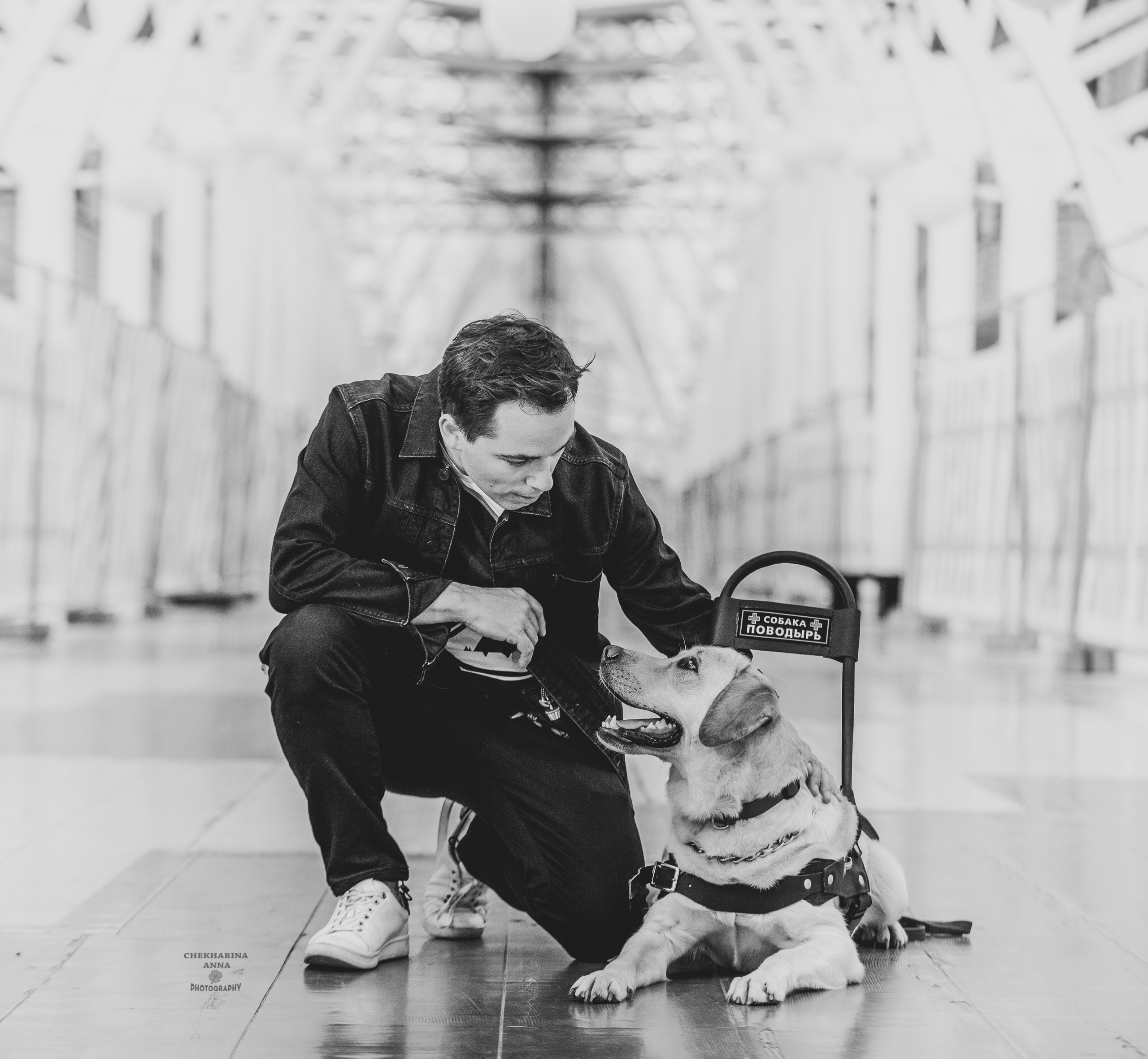 Анималистика. Профессиональный фотограф Чехарина Анна / pro photographer Chekharina