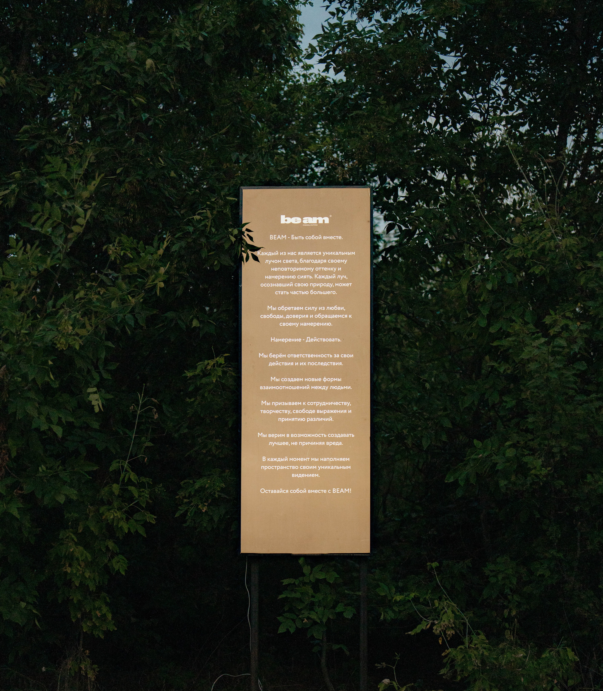 ASS FAMILY | СОН В ДЕРЕВНЕ | АВИАРЕЖИМ 8.0