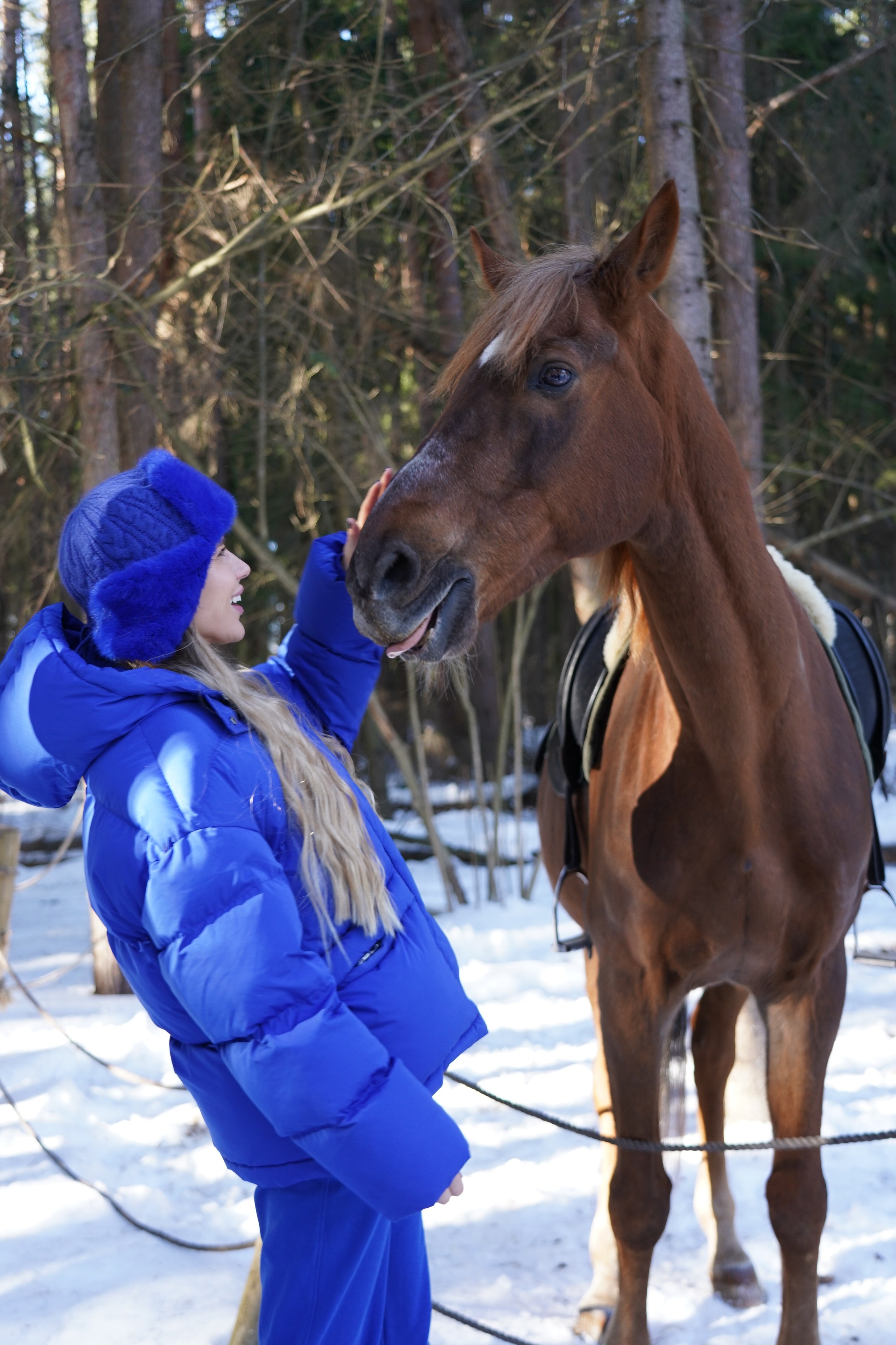 Фотосессия с лошадьми. Главная