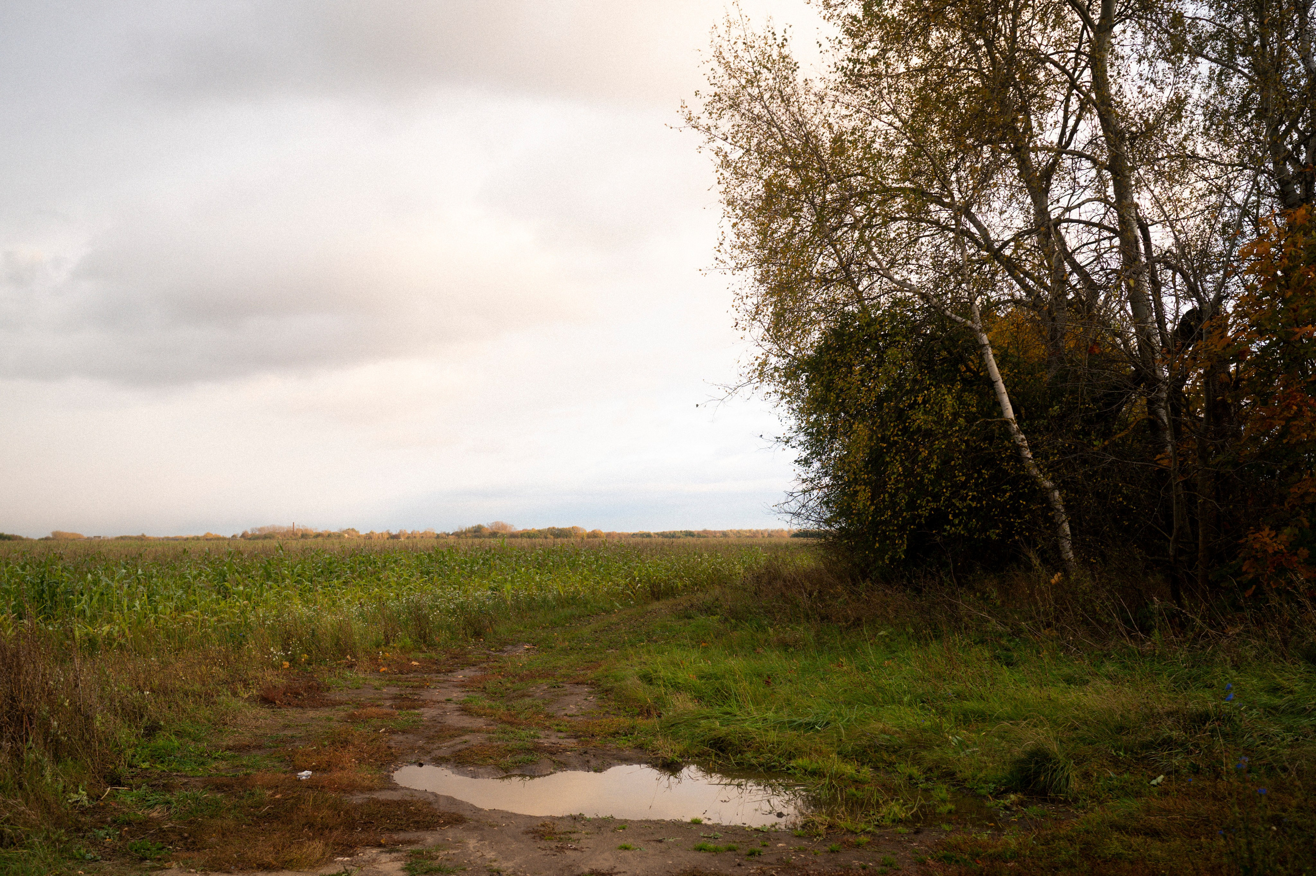 Random, 1. Kartascheff