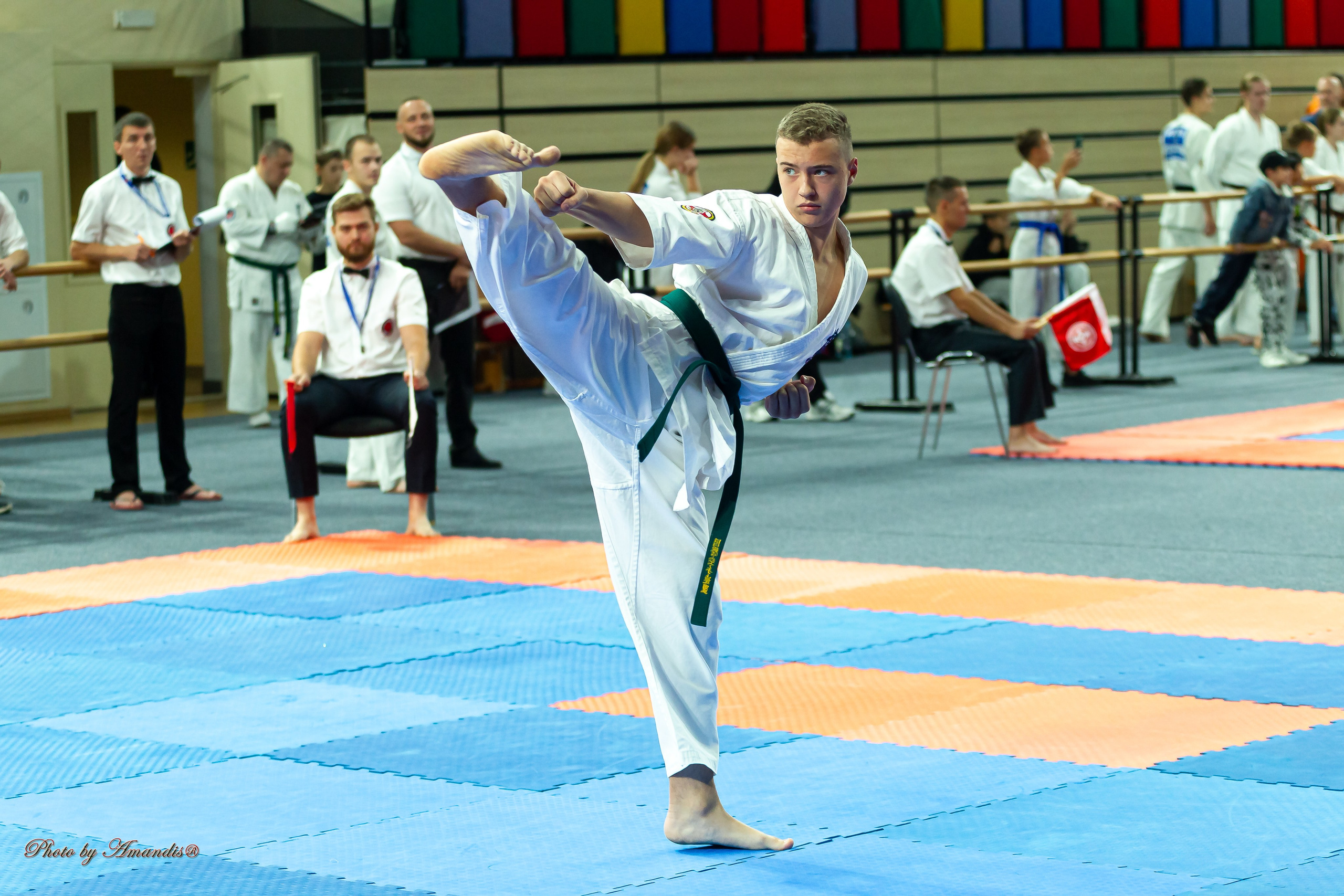 Первенство Московской области по Киокушин в СК «Жаворонки». Репортажная съемка в Москве и области. Анималистика