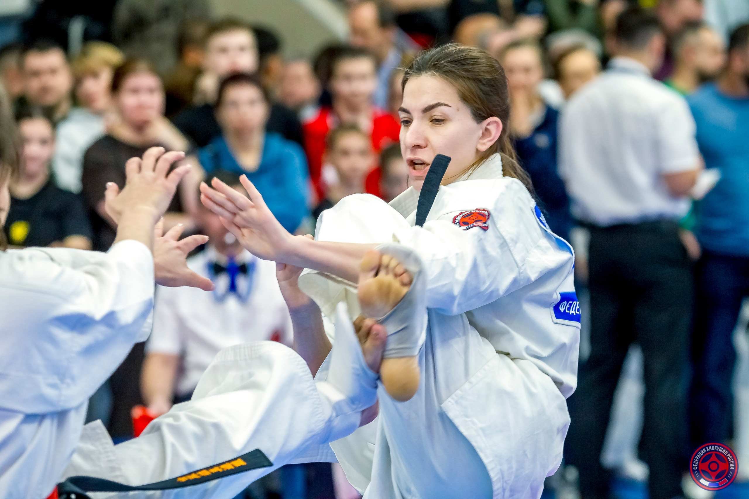 Международный турнир по киокушин «Открытый кубок Seiken». Репортажная съемка в Москве и области. Анималистика