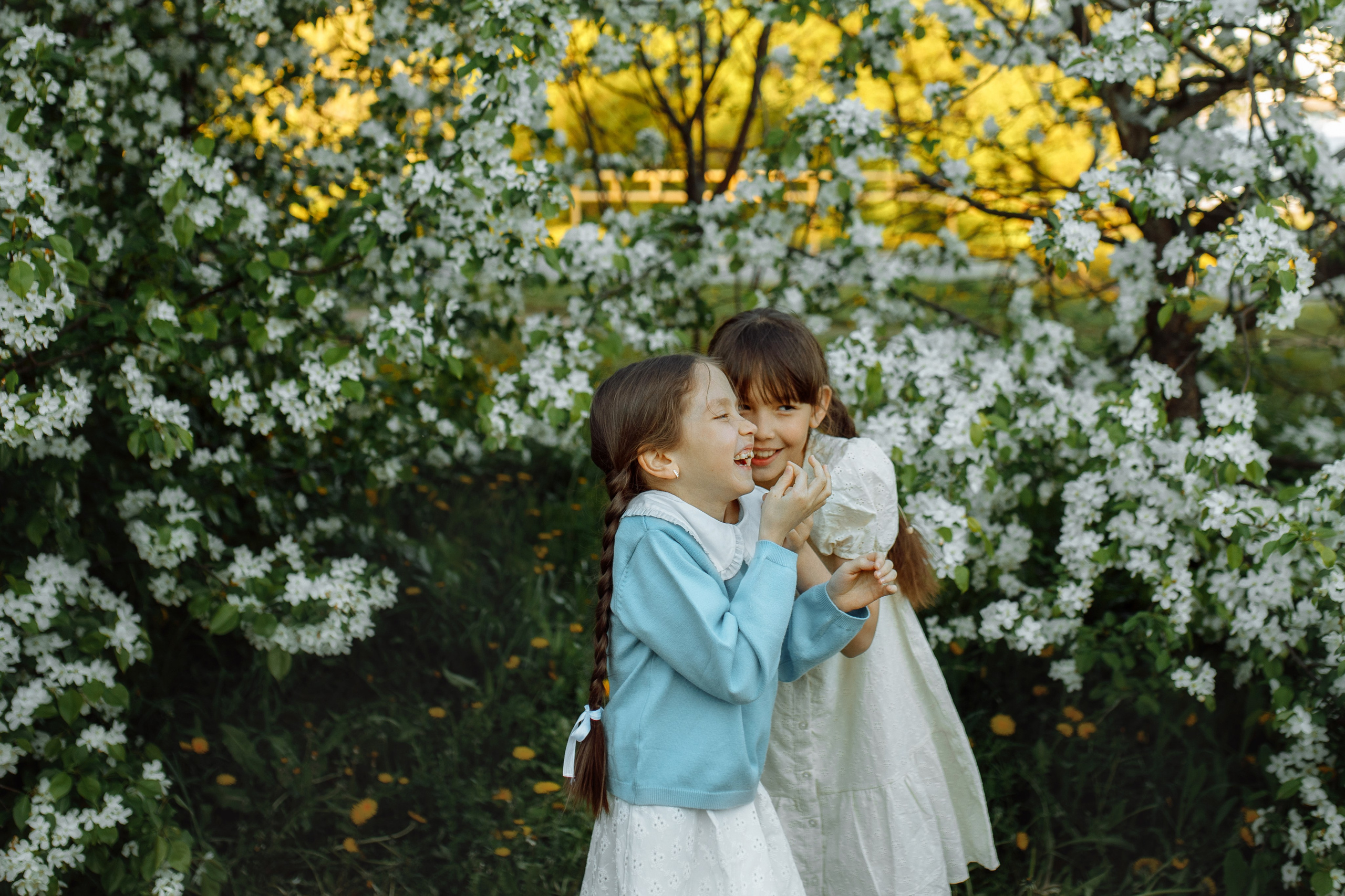 Цветение. Детский и семейный фотограф г. Чебоксары Оля Горбунова