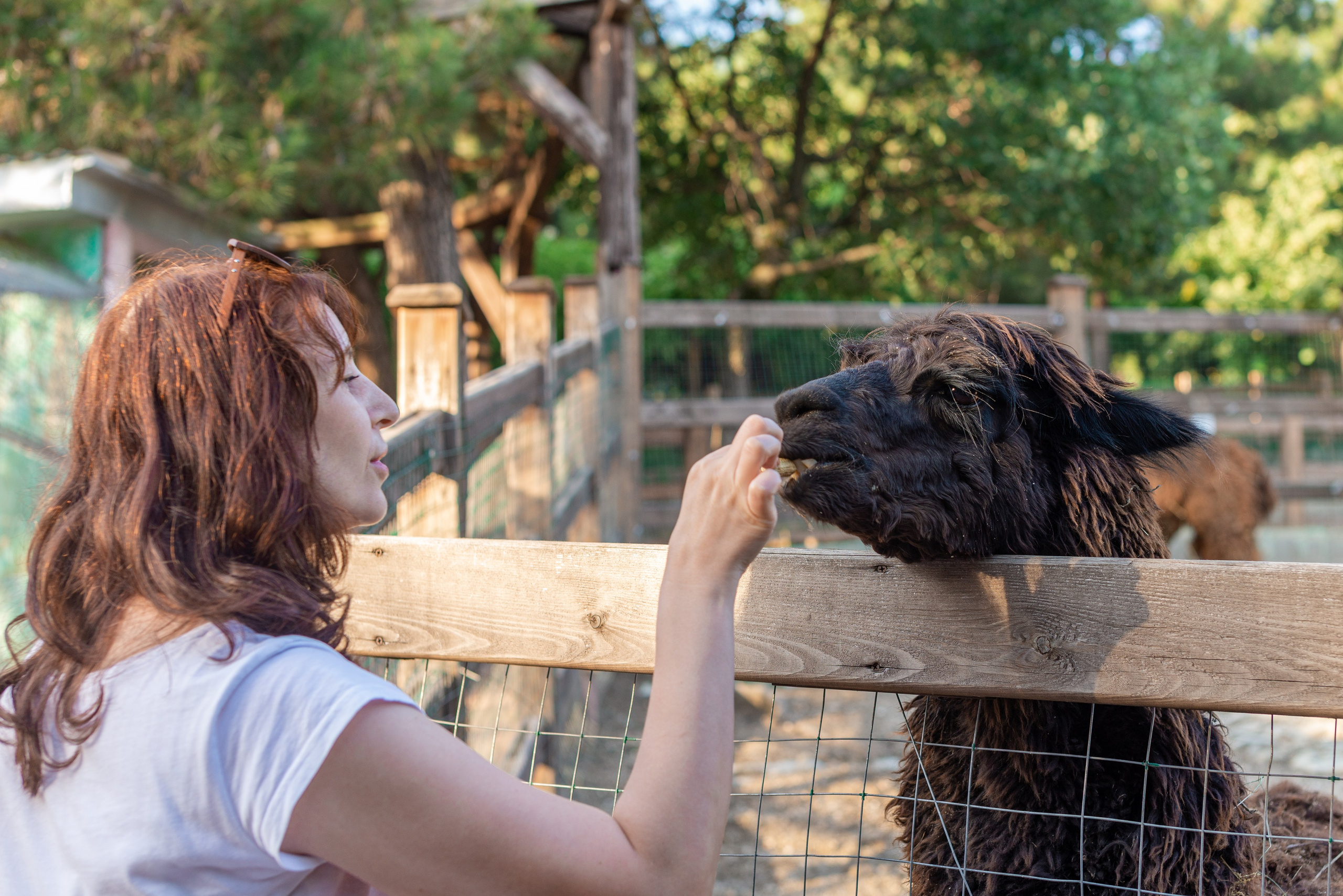 Июнь–Июль Отпуск Белореченск, Геленджик. Семейный, Свадебный фотограф СПБ Питер— Романова Екатерина
