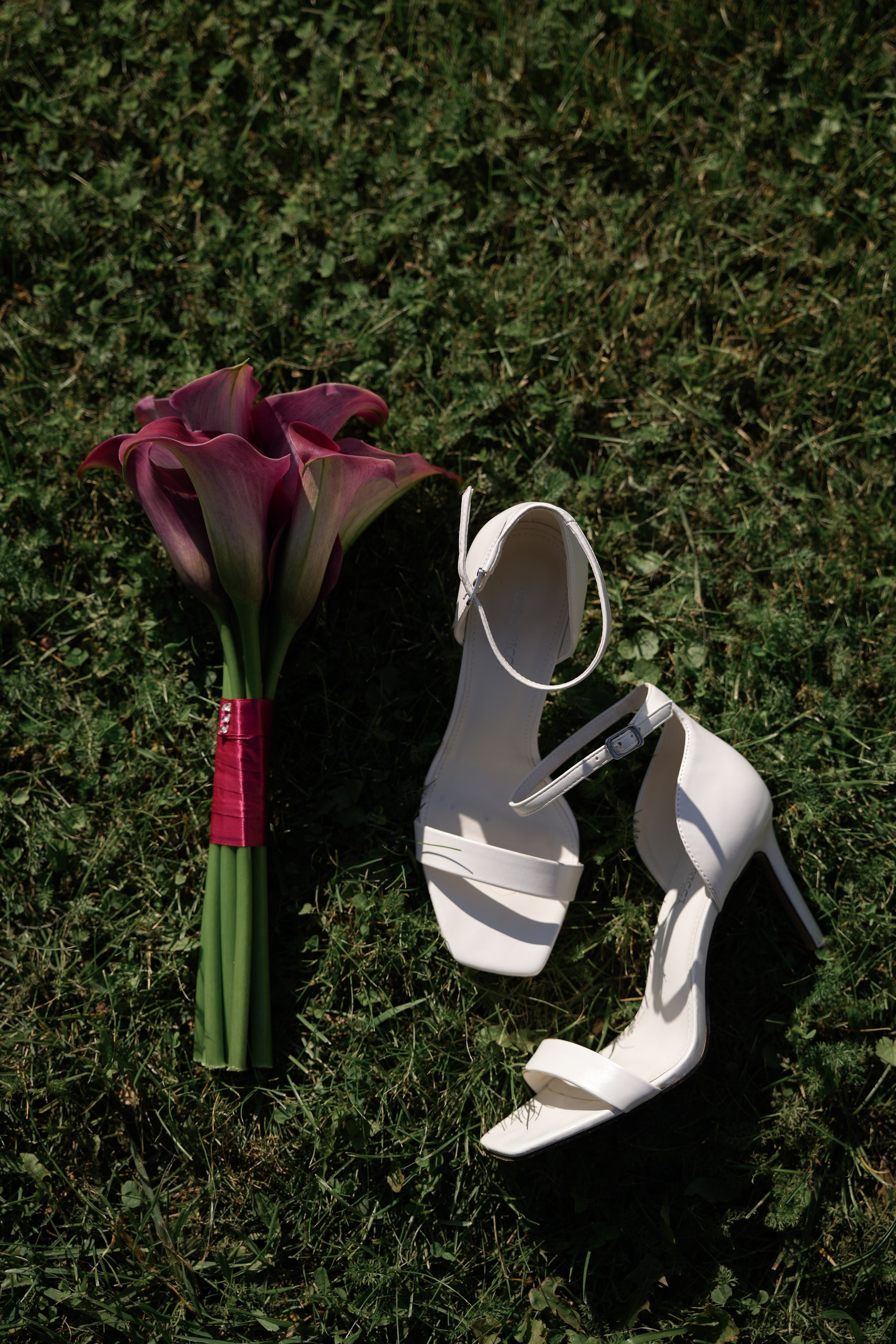 Дмитрий и Анастасия