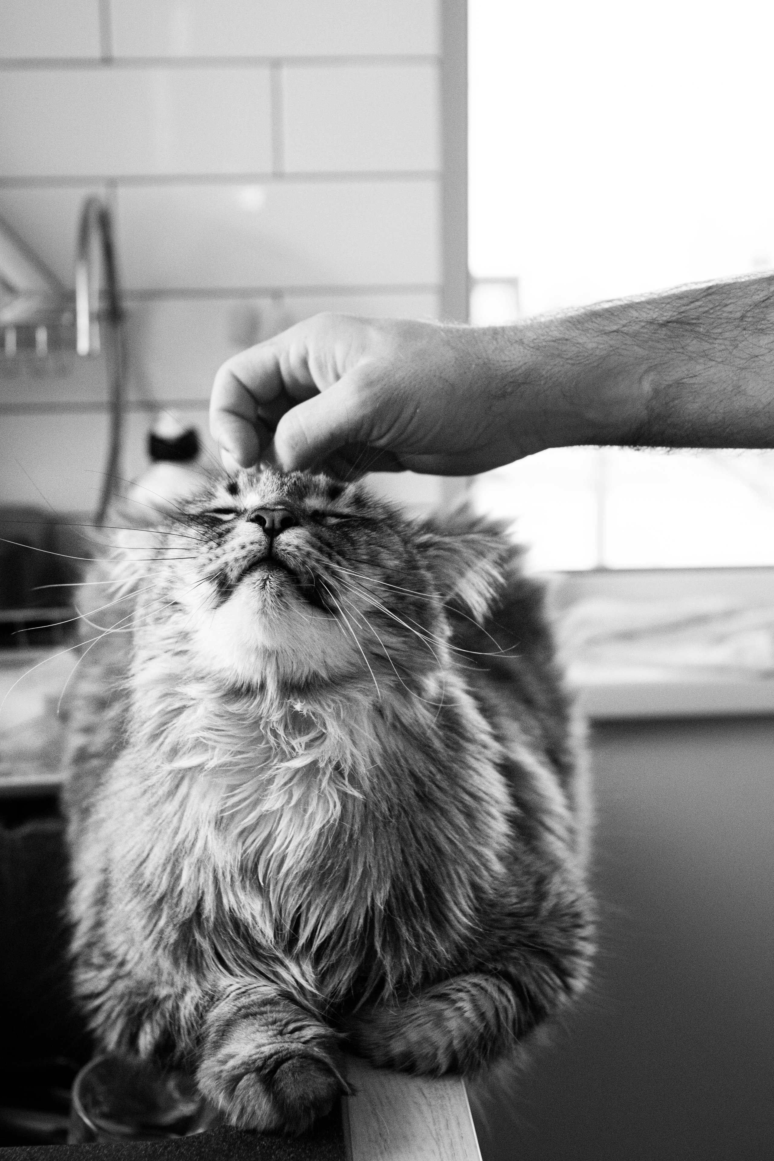 2 года Радиславу!. Семейный фотограф в Санкт-Петербурге Дарья Косянчук