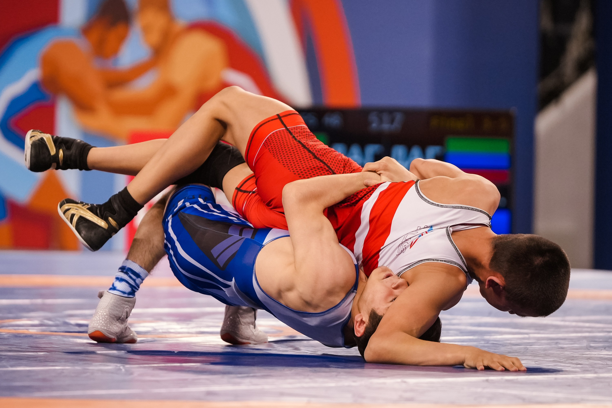 Первенство России по вольной борьбе среди юношей до 16 лет. Красноярск 2025. Фотограф Анна Герман. Красноярск