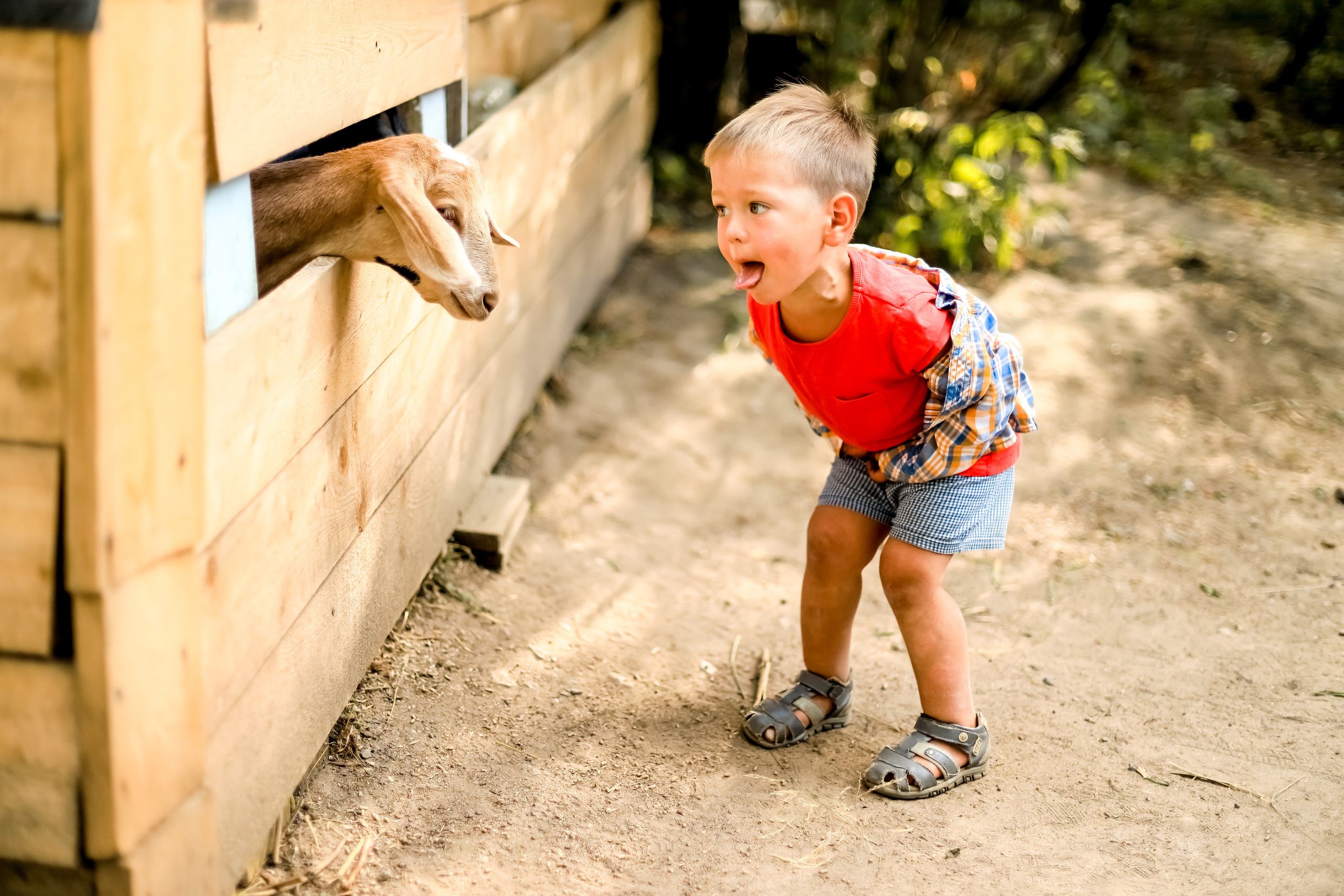 детская фотосессия. Ребенок показывает язык