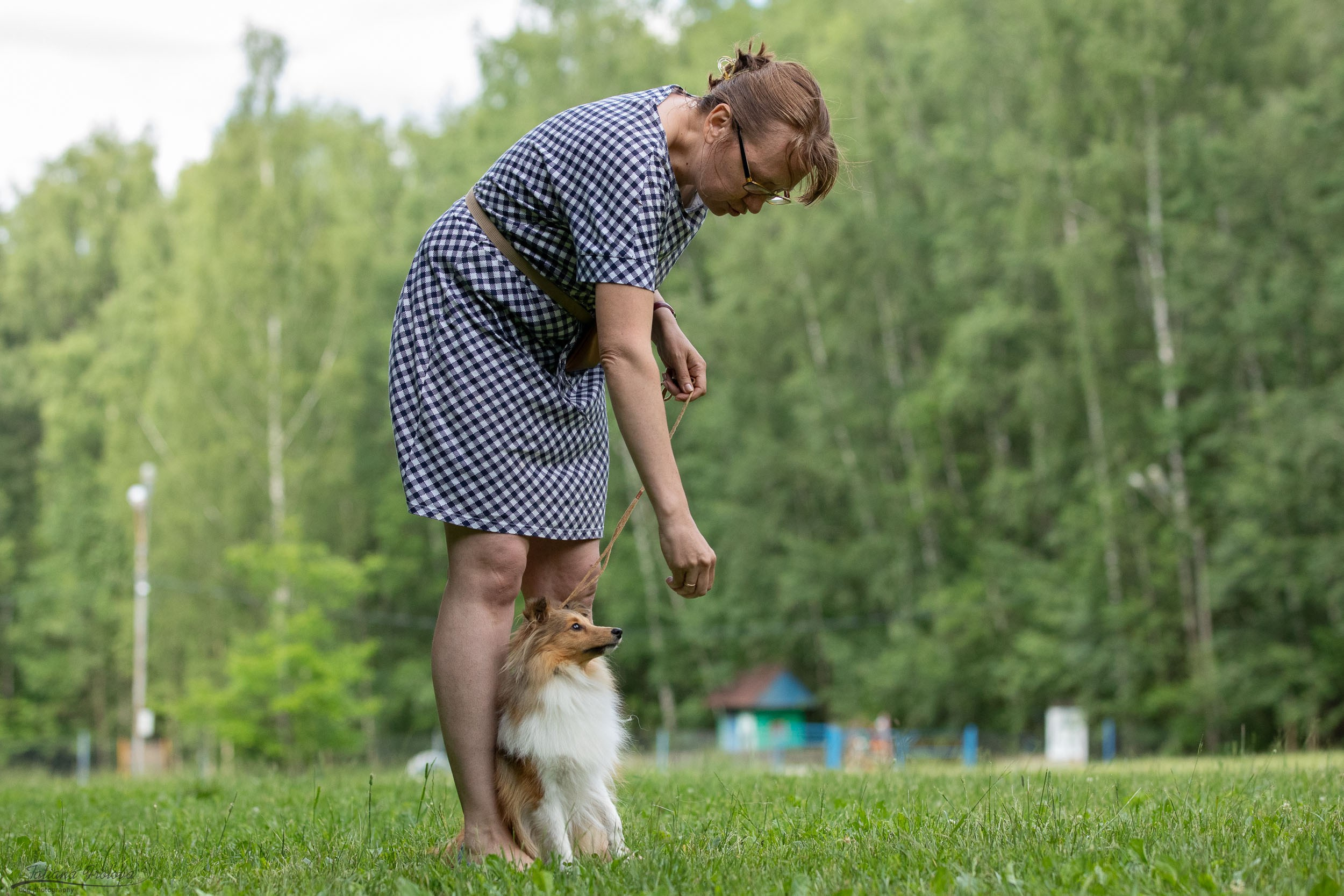 Репортаж с выводки молодняка колли/шелти в Ясенево. Фотограф-анималист в Москве и Московской области Татьяна Фролова