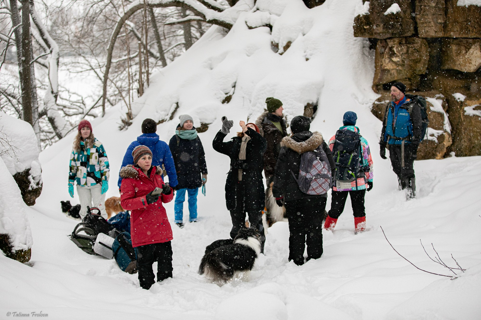 Фотосъемка похода с собаками в Московской области. Фотограф-анималист в Москве и Московской области Татьяна Фролова