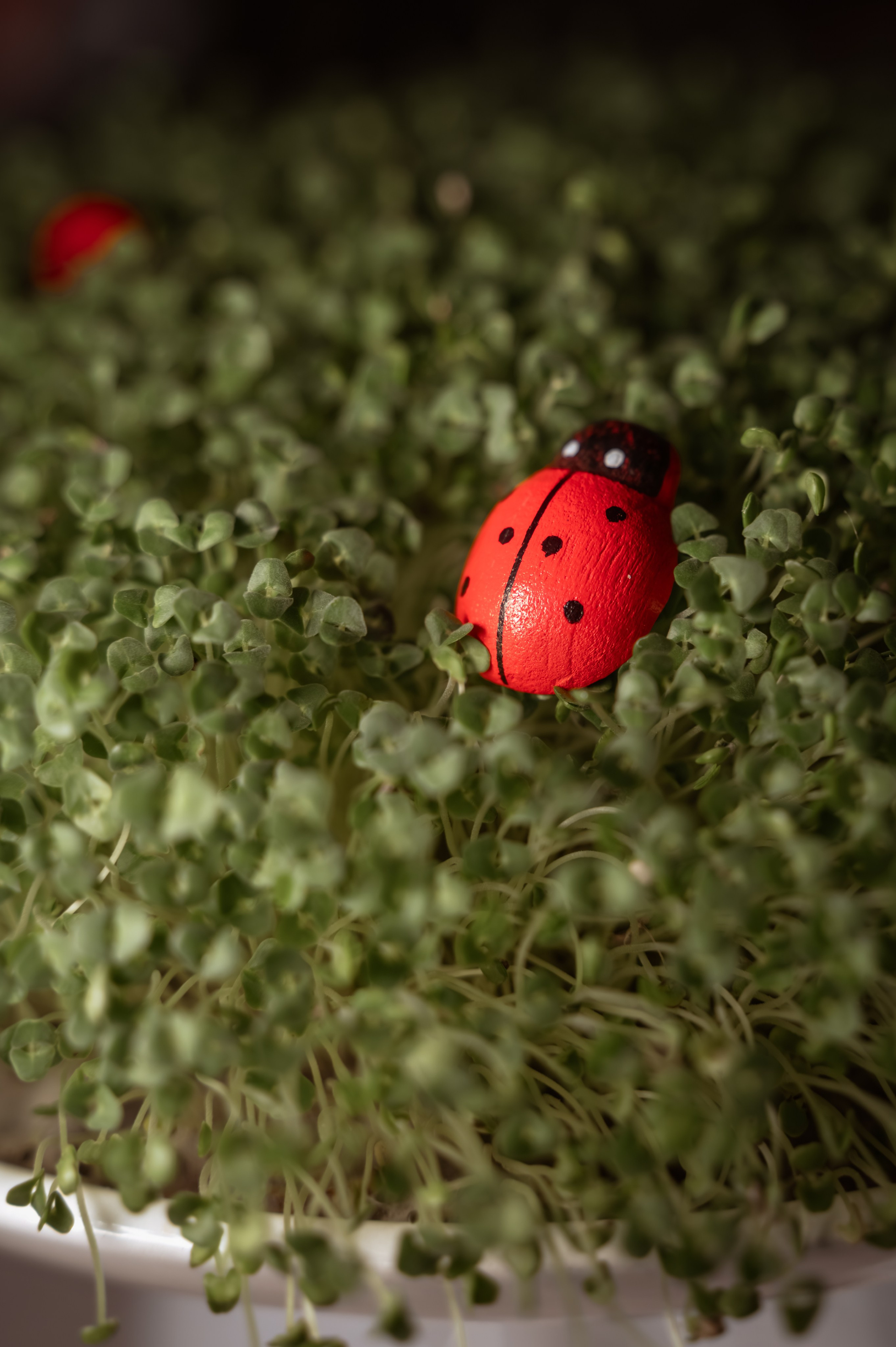 Семейная пасхальная фотосессия в Москве