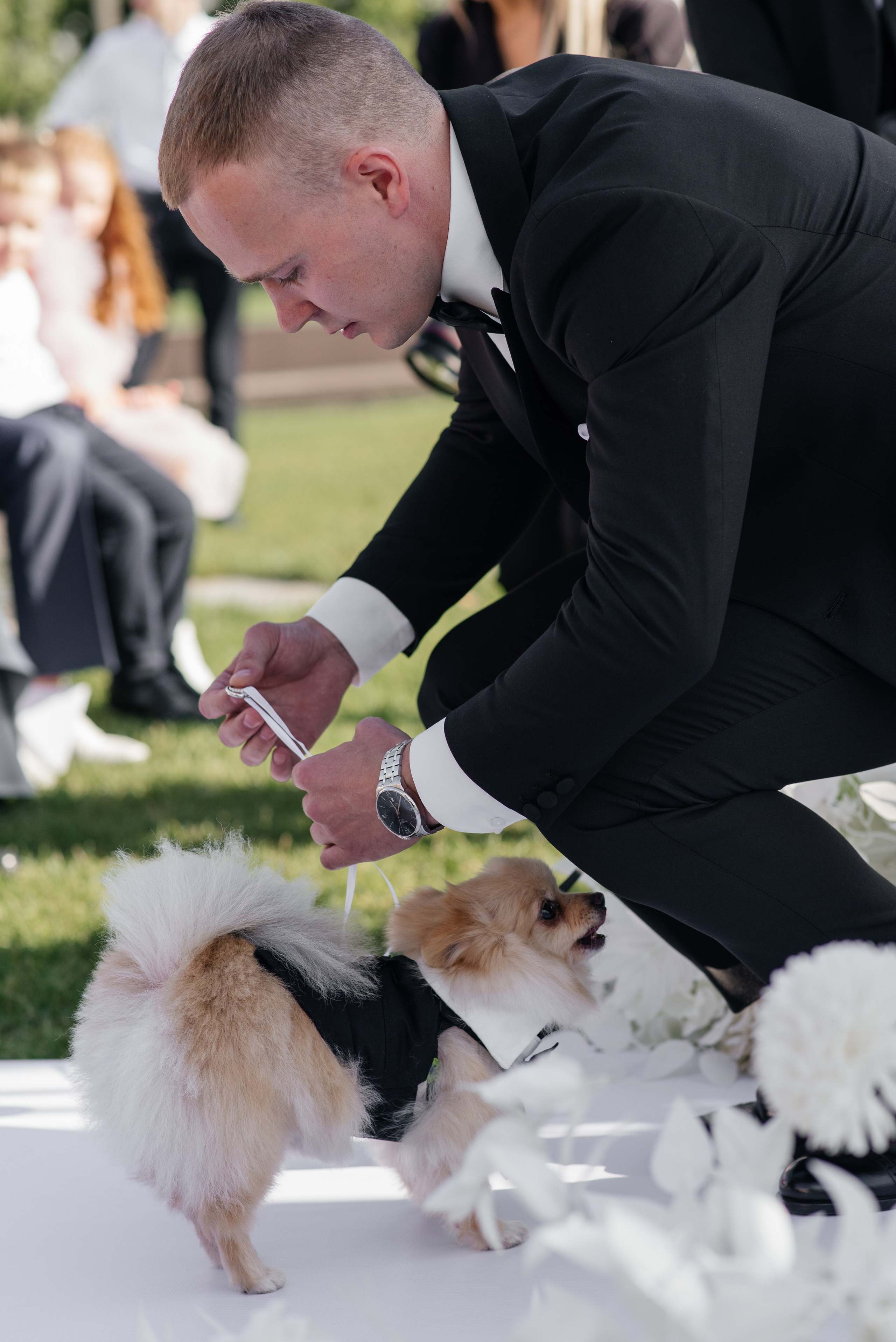 Свадьба Владимир и Ксения Курск. Свадебный фотограф Белгород