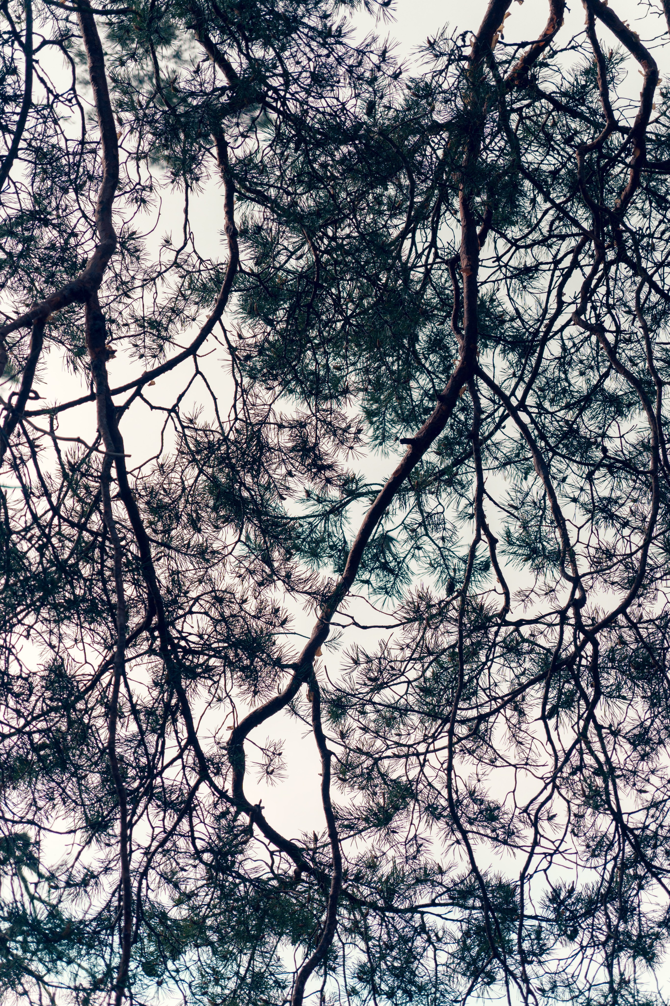 Природа. Фотограф в Санкт-Петербурге Ибрагимова Алина