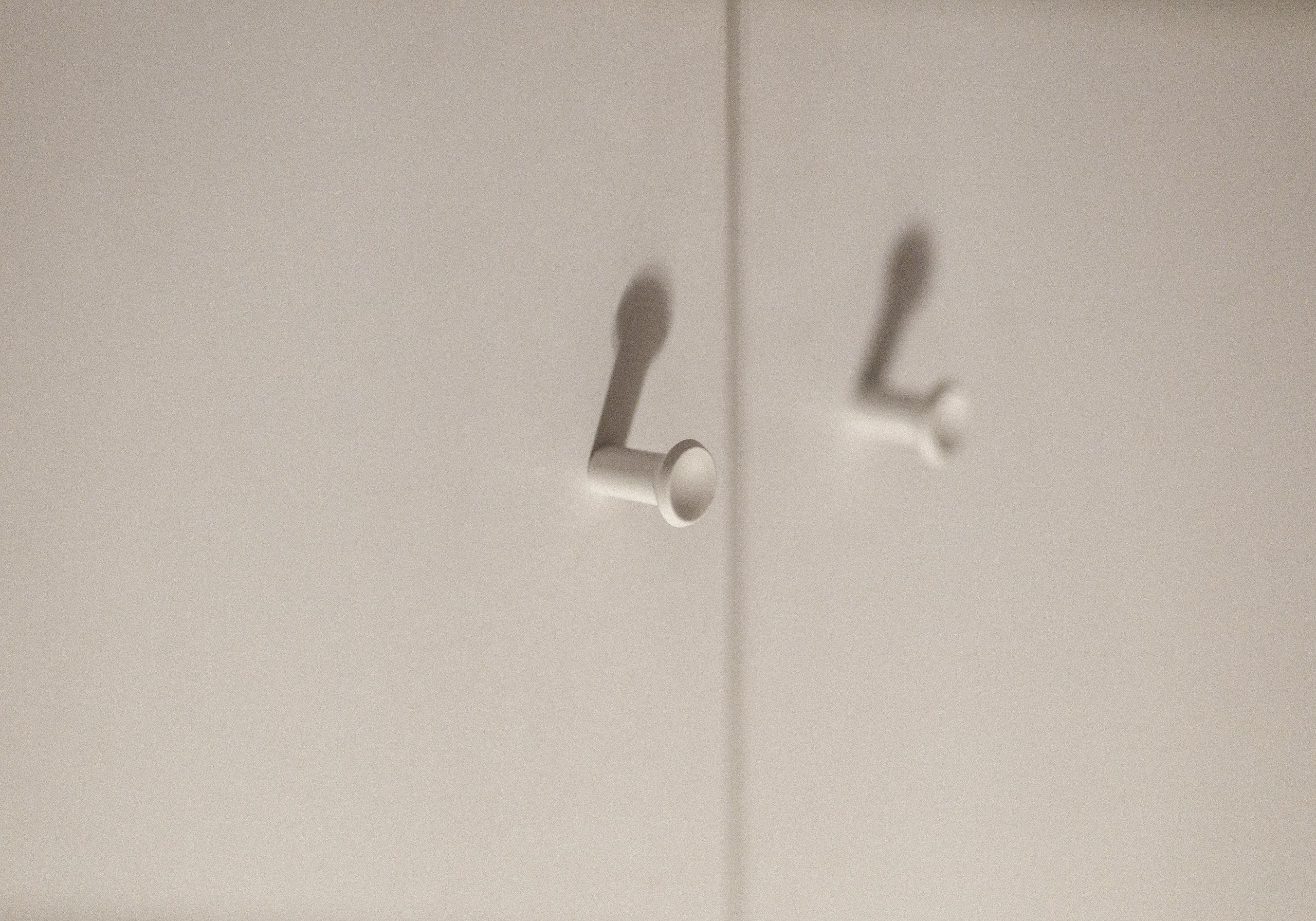 Проект «366»|2024|Фото каждый день. LENA GRACE photographer ||ЛЕНА ГРЭЙС фотограф