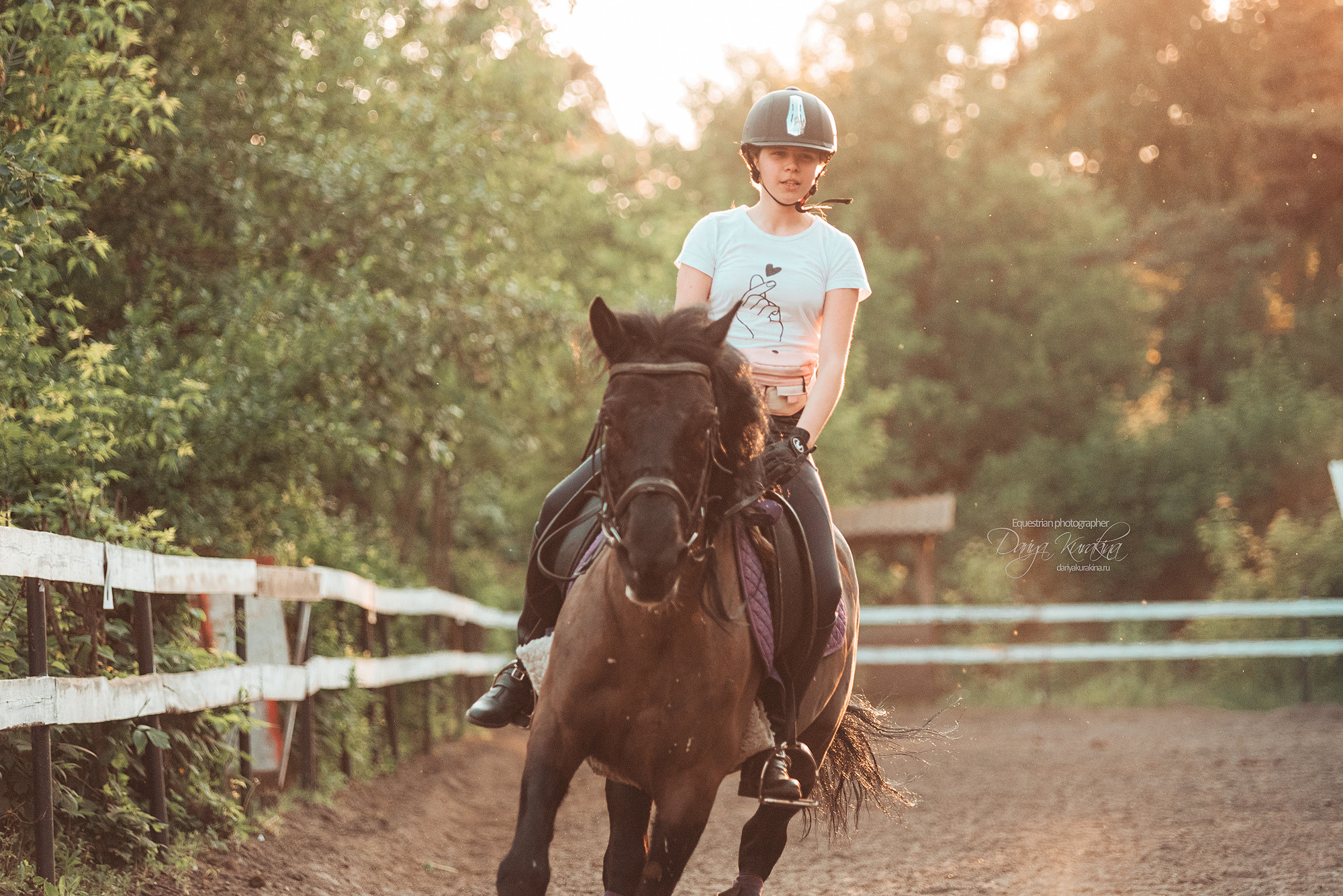 Летняя тренировка Бась. Конный фотограф Куракина Дарья • Фотосессии с лошадьми