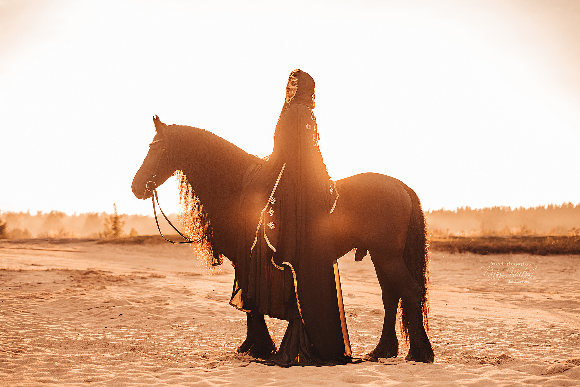 Арабская нооочь. Конный фотограф Куракина Дарья • Фотосессии с лошадьми