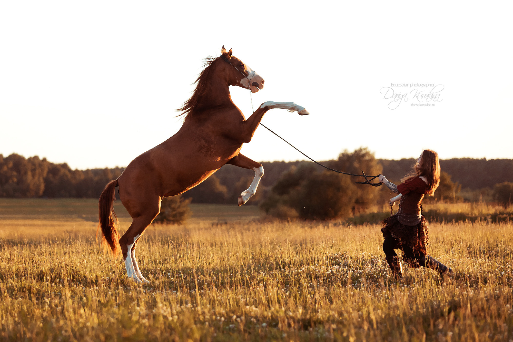 Таня и Бя, Настя и Брю. Конный фотограф Куракина Дарья • Фотосессии с лошадьми