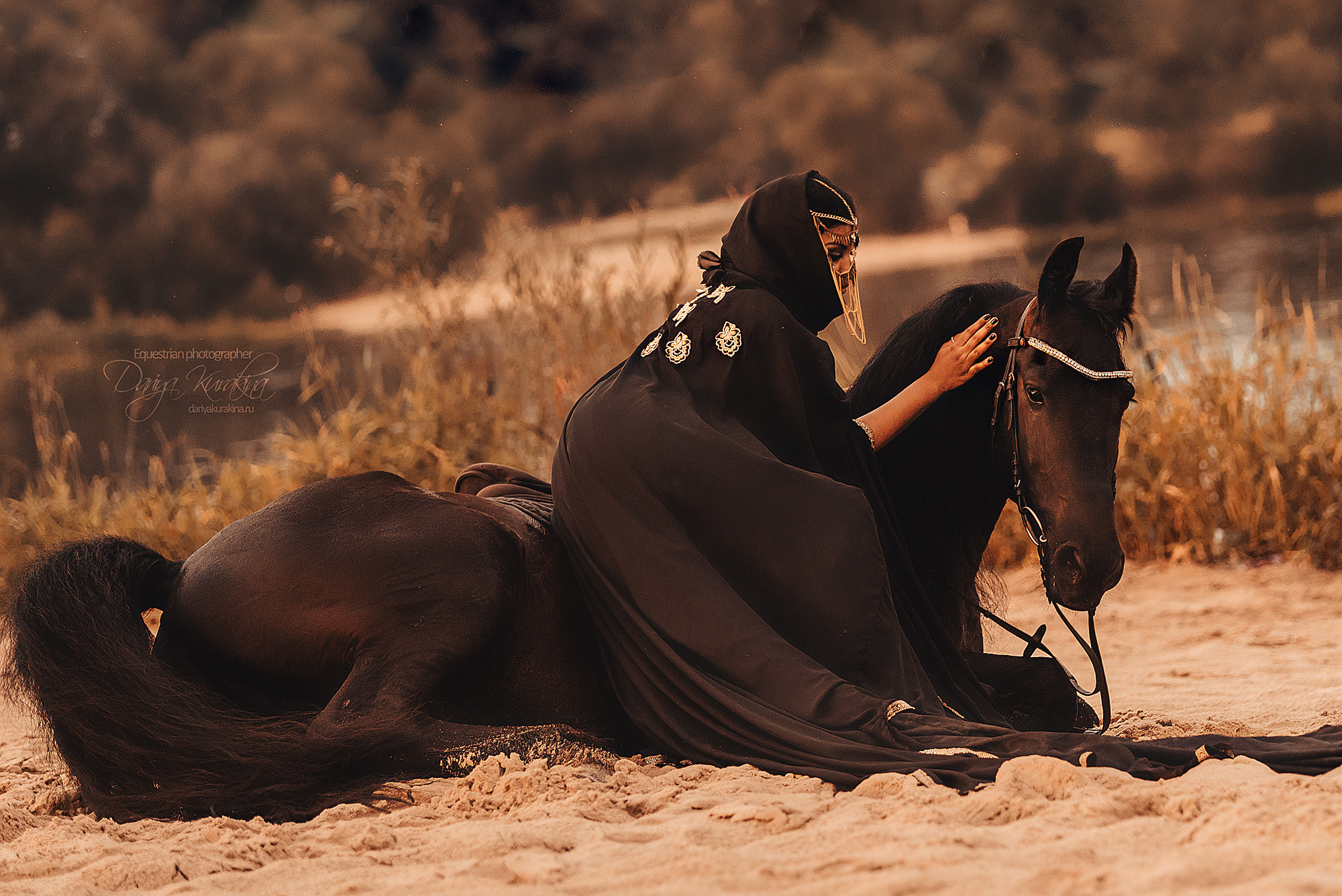 Арабская нооочь. Конный фотограф Куракина Дарья • Фотосессии с лошадьми
