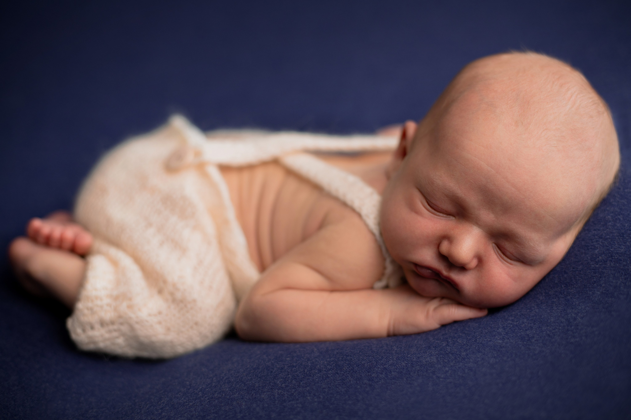 Фотограф в Северском районе| г. Краснодар Алена Заливчая